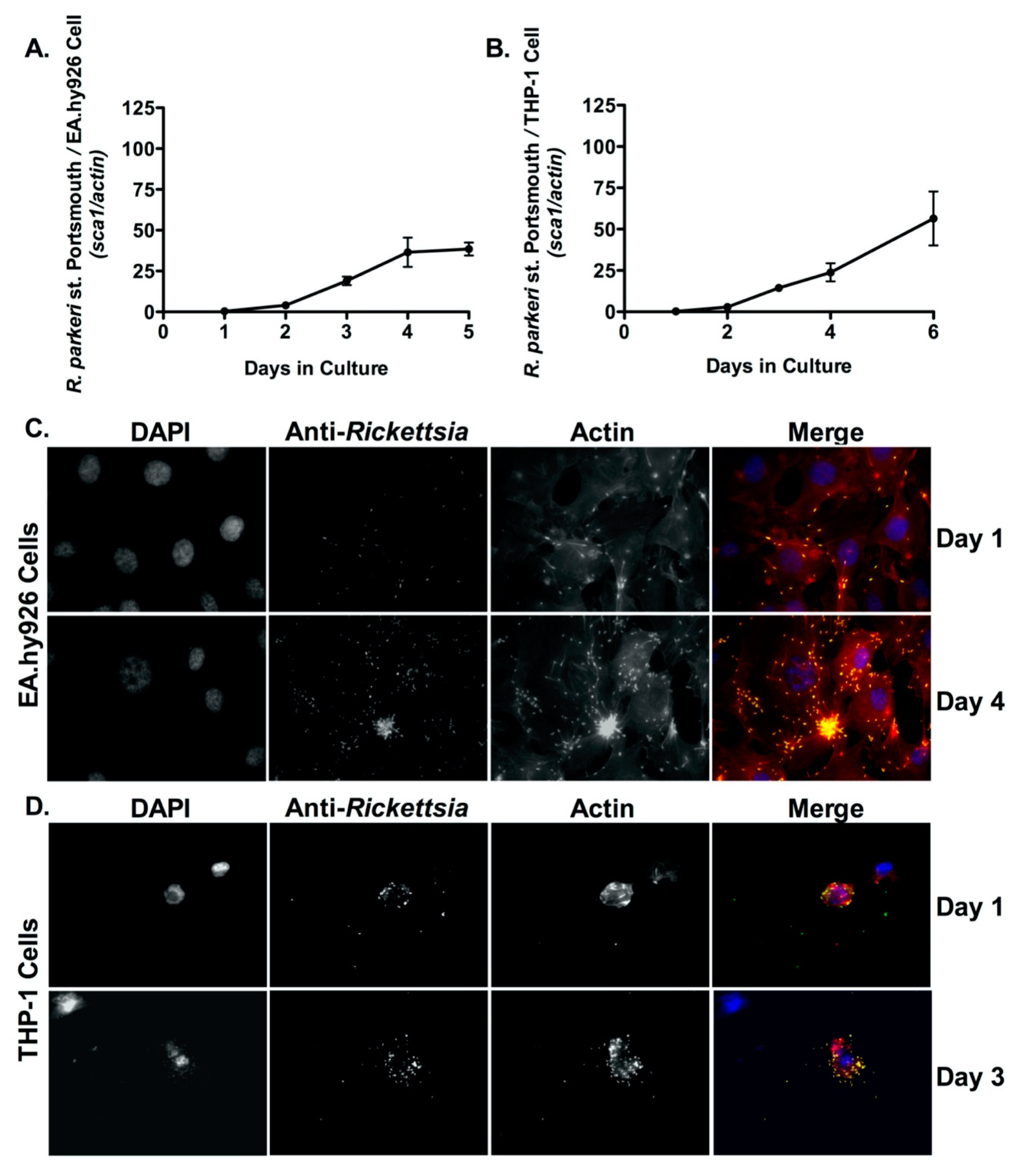 Pathogens 10 00228 g002