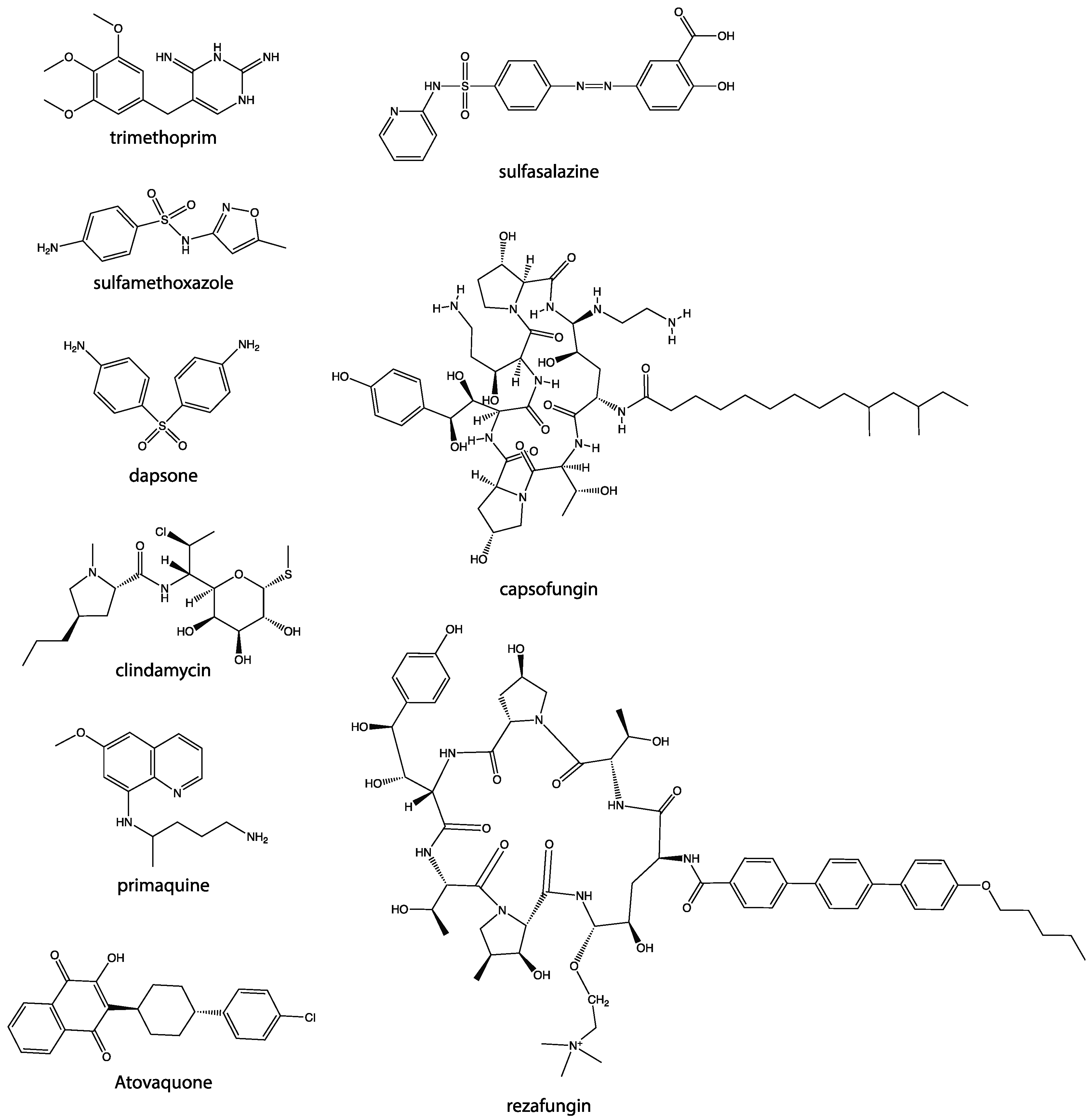 Pathogens 10 00236 g001