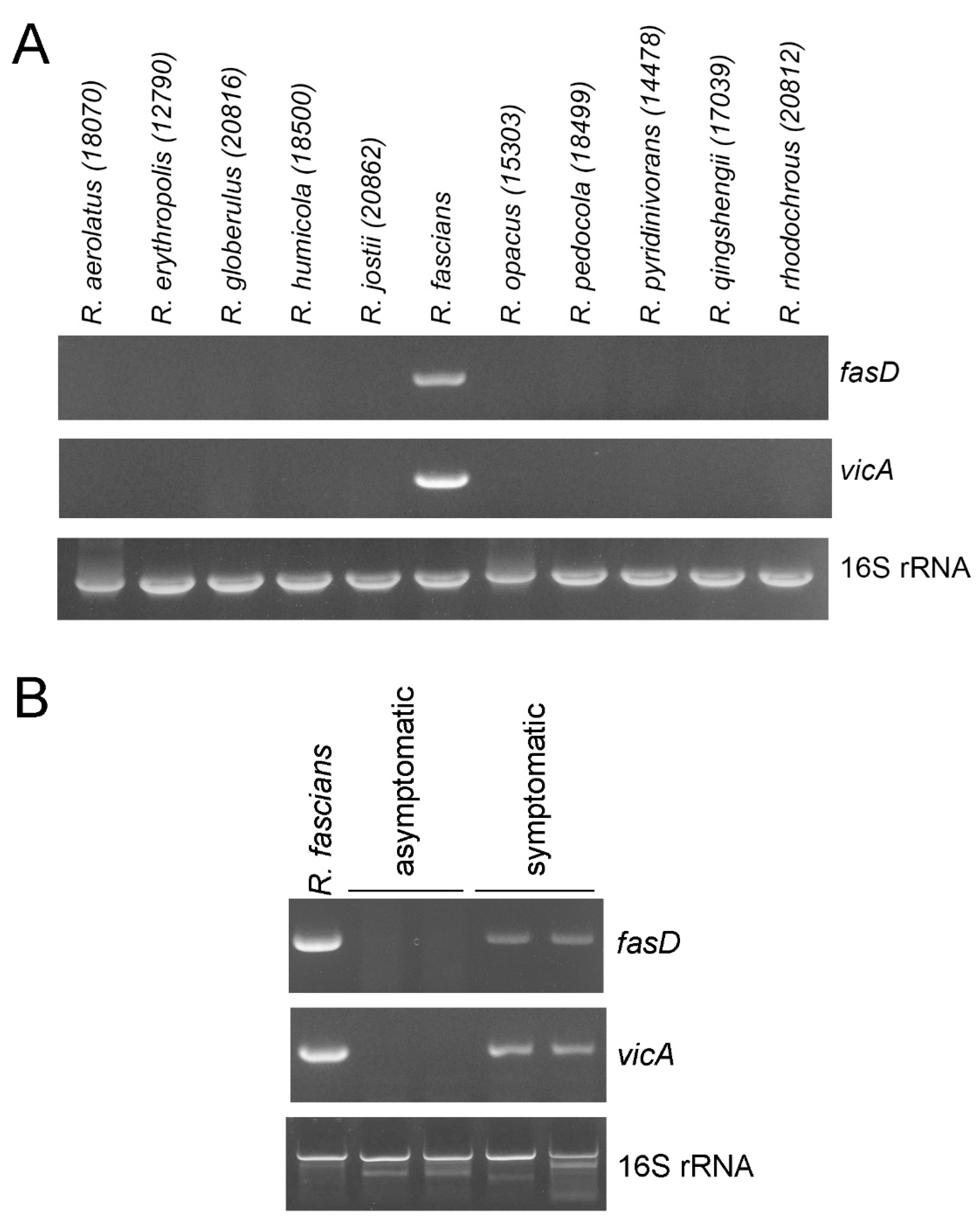 Pathogens 10 00241 g002