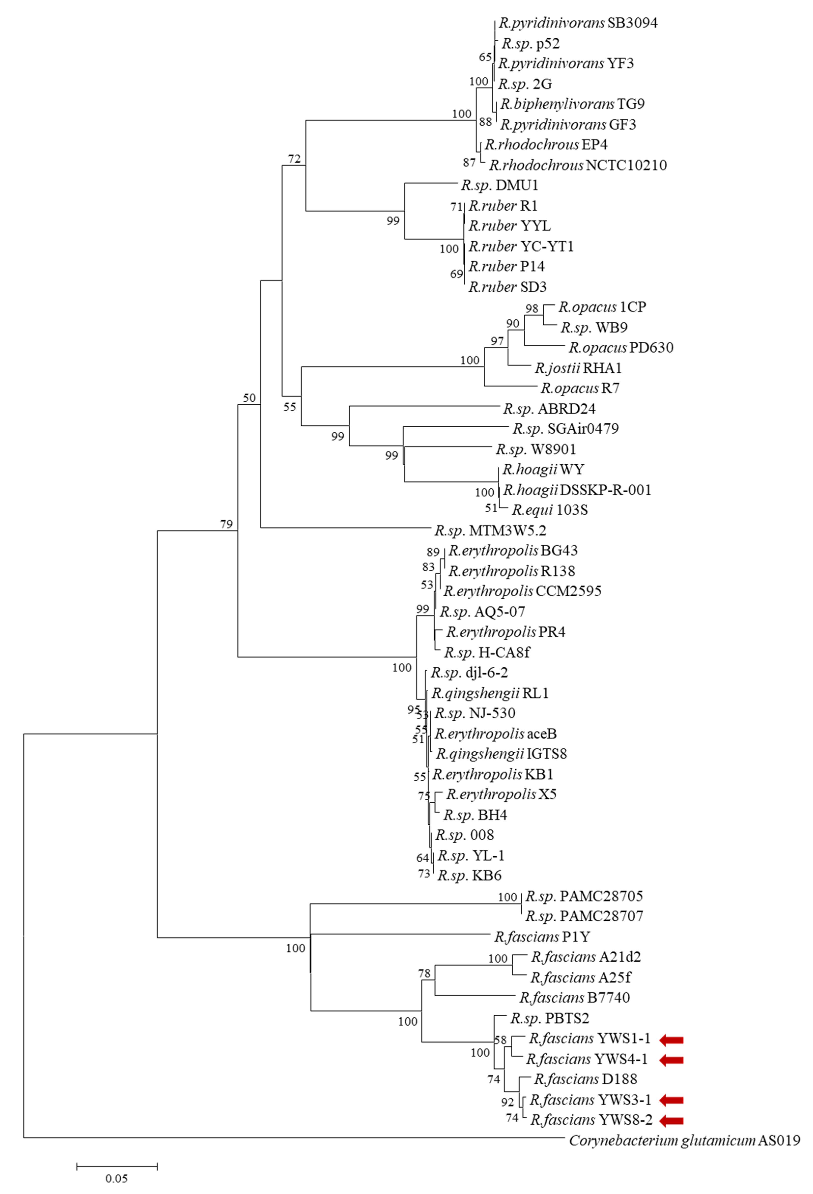 Pathogens 10 00241 g003