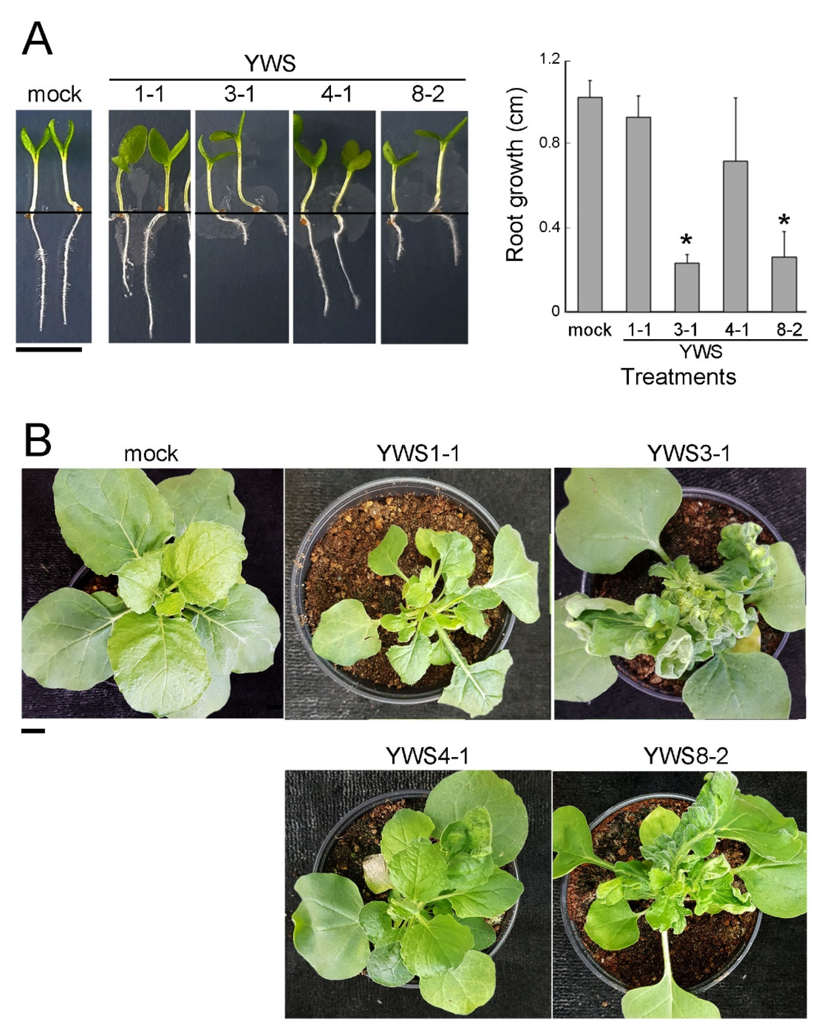 Pathogens 10 00241 g004