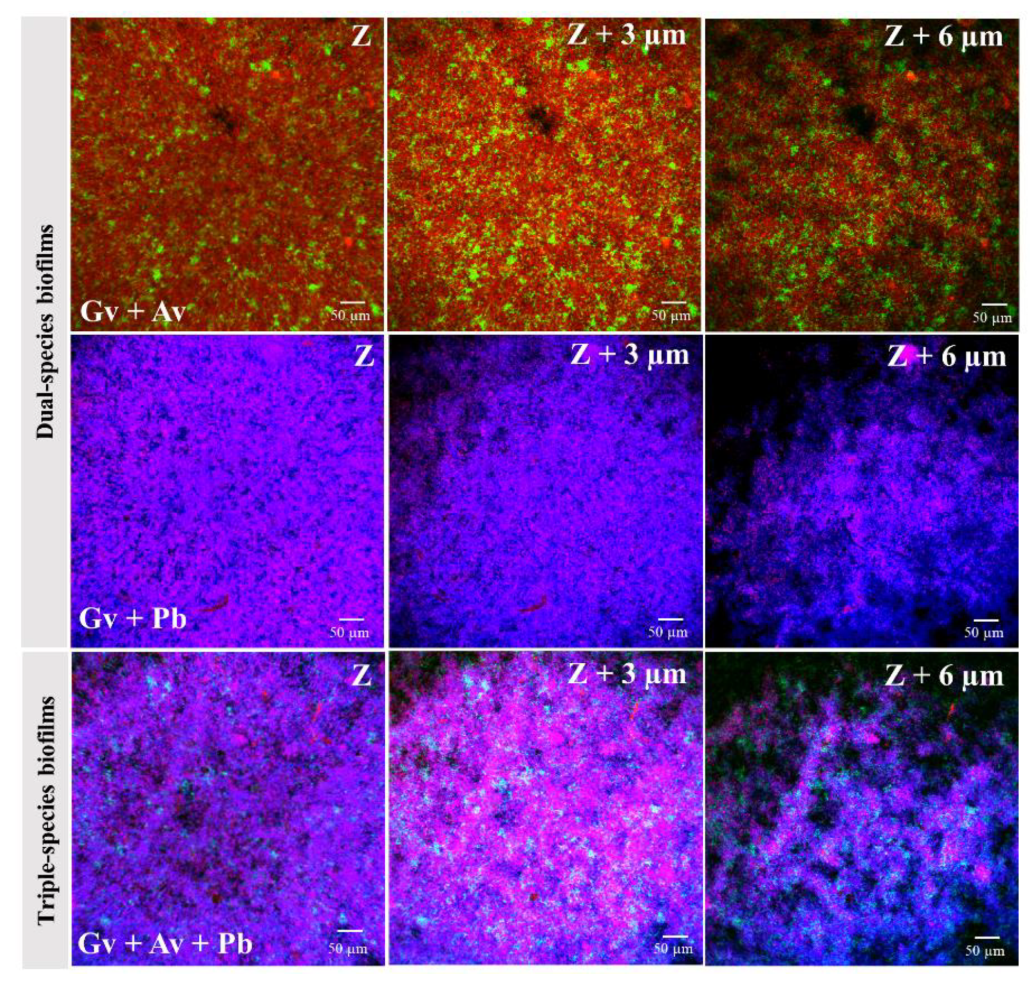 Pathogens 10 00247 g004 Pathogens 10 00247 g004