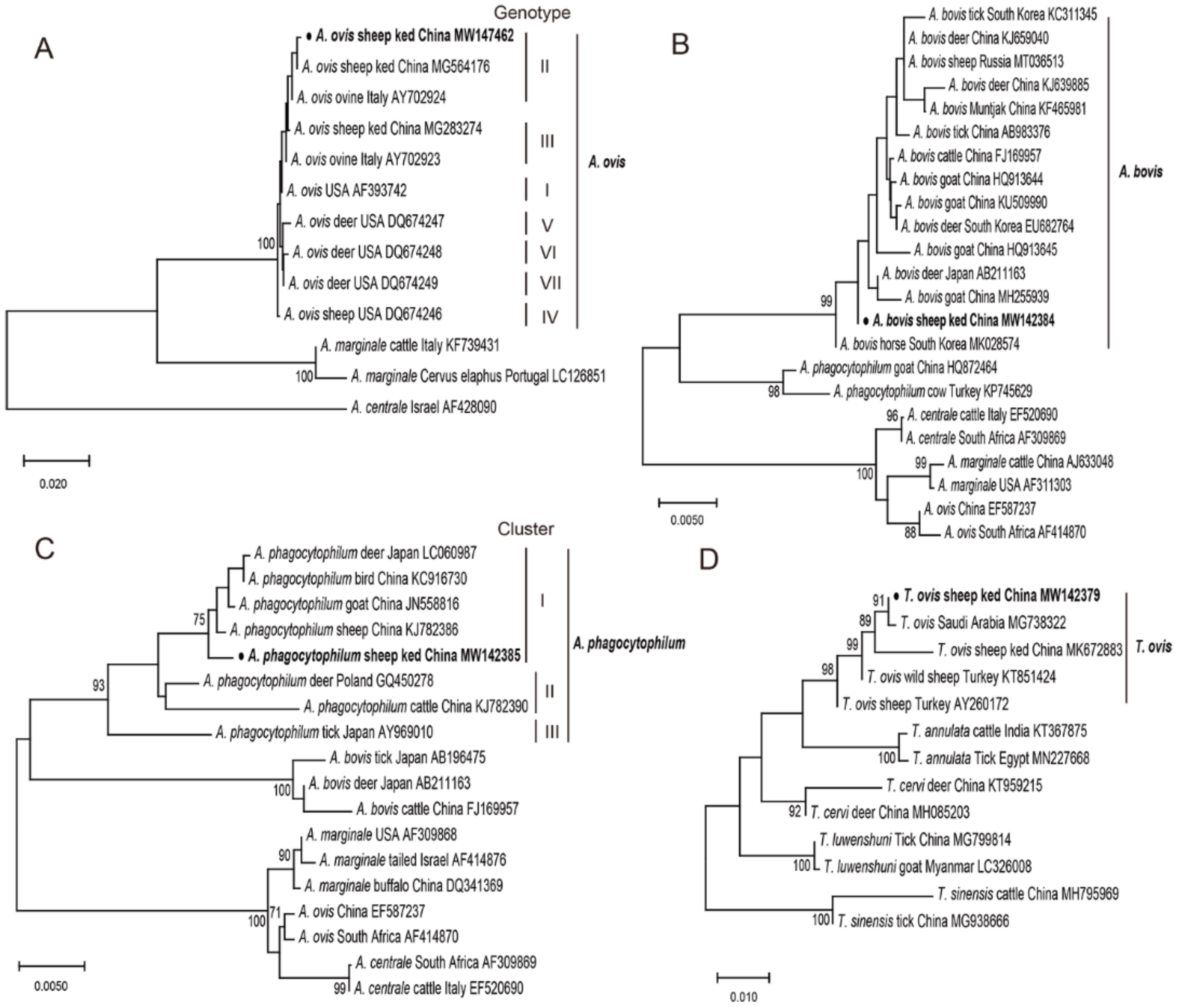 Pathogens 10 00249 g001