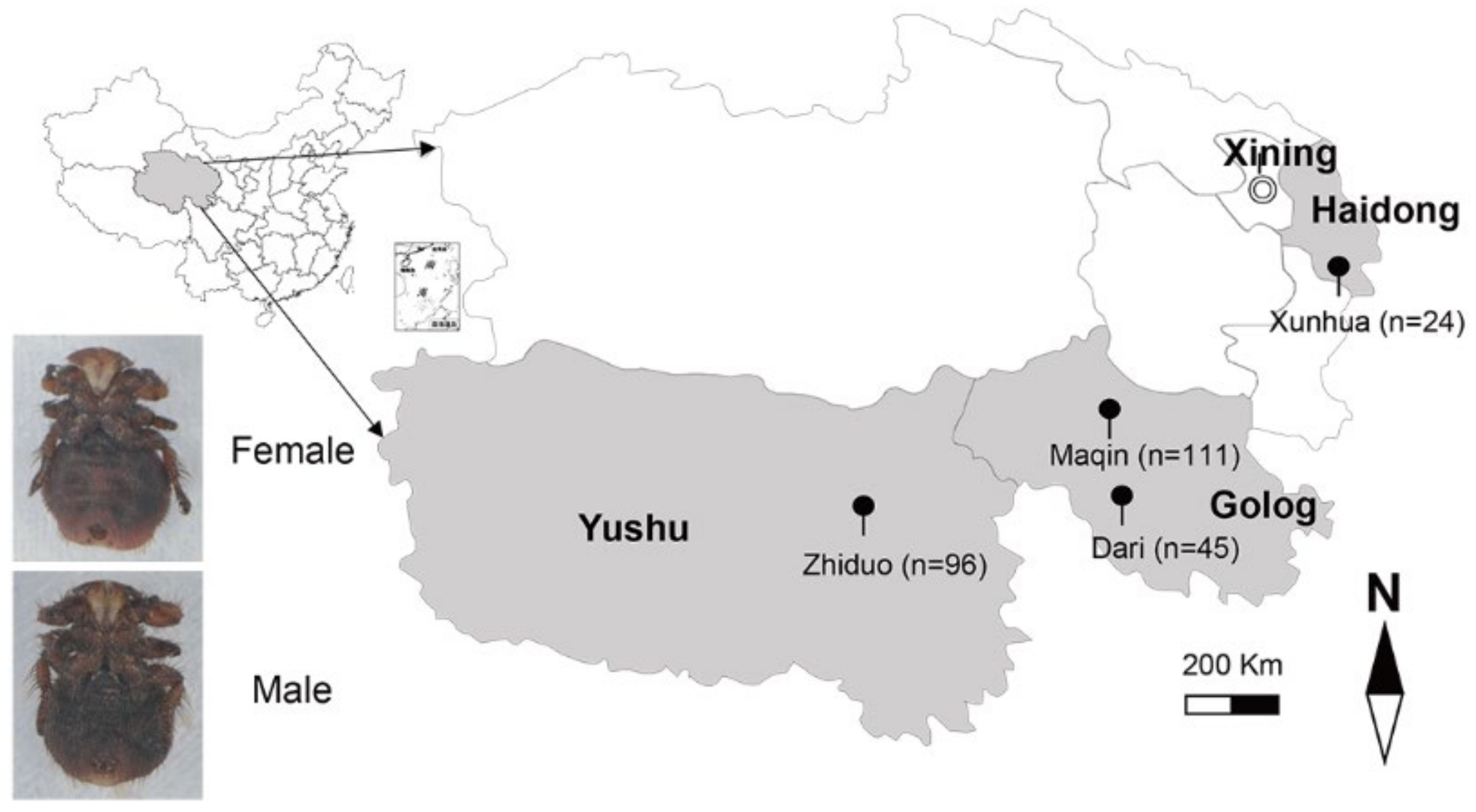 Pathogens 10 00249 g002