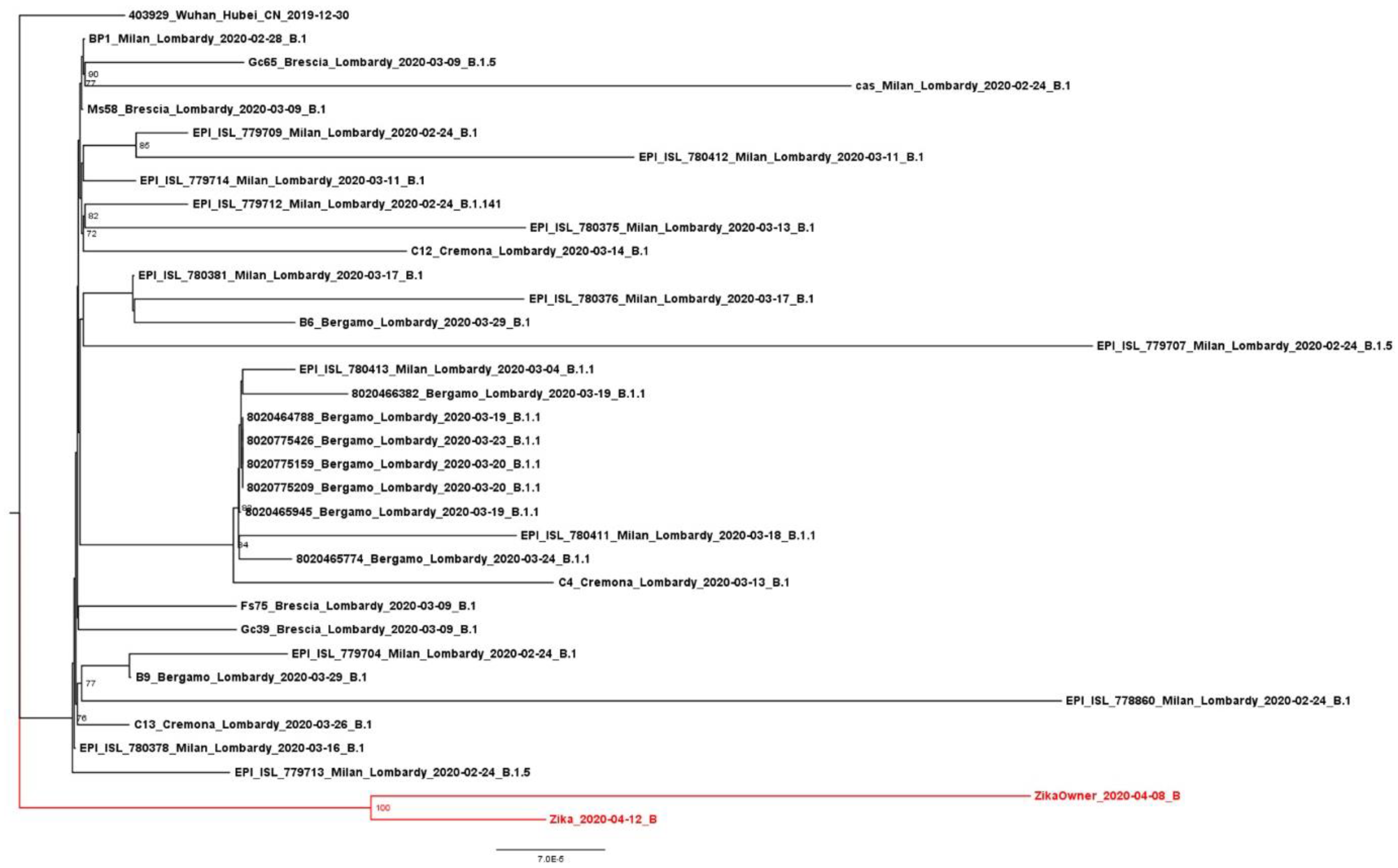 Pathogens 10 00252 g002