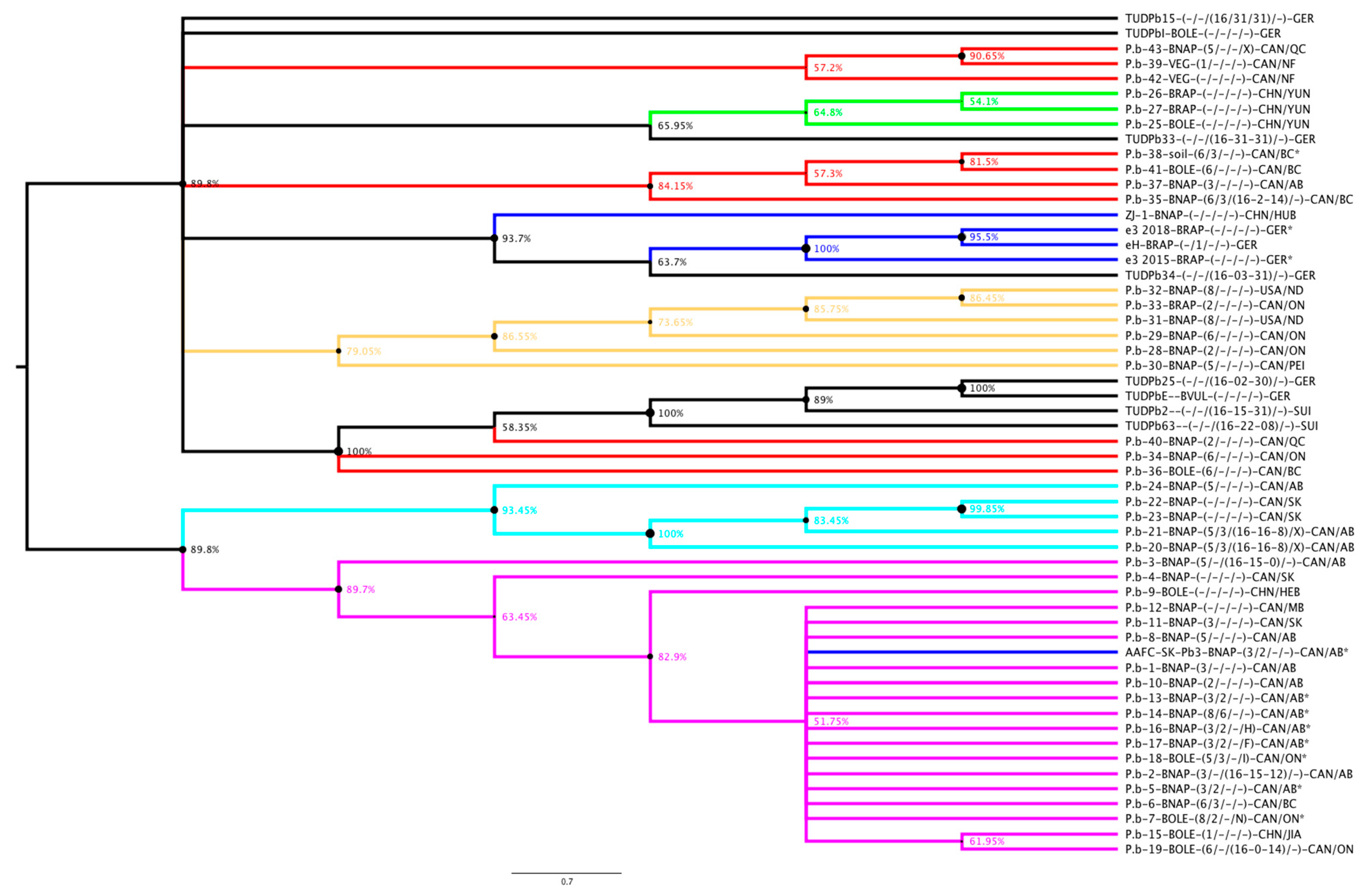 Pathogens 10 00259 g003