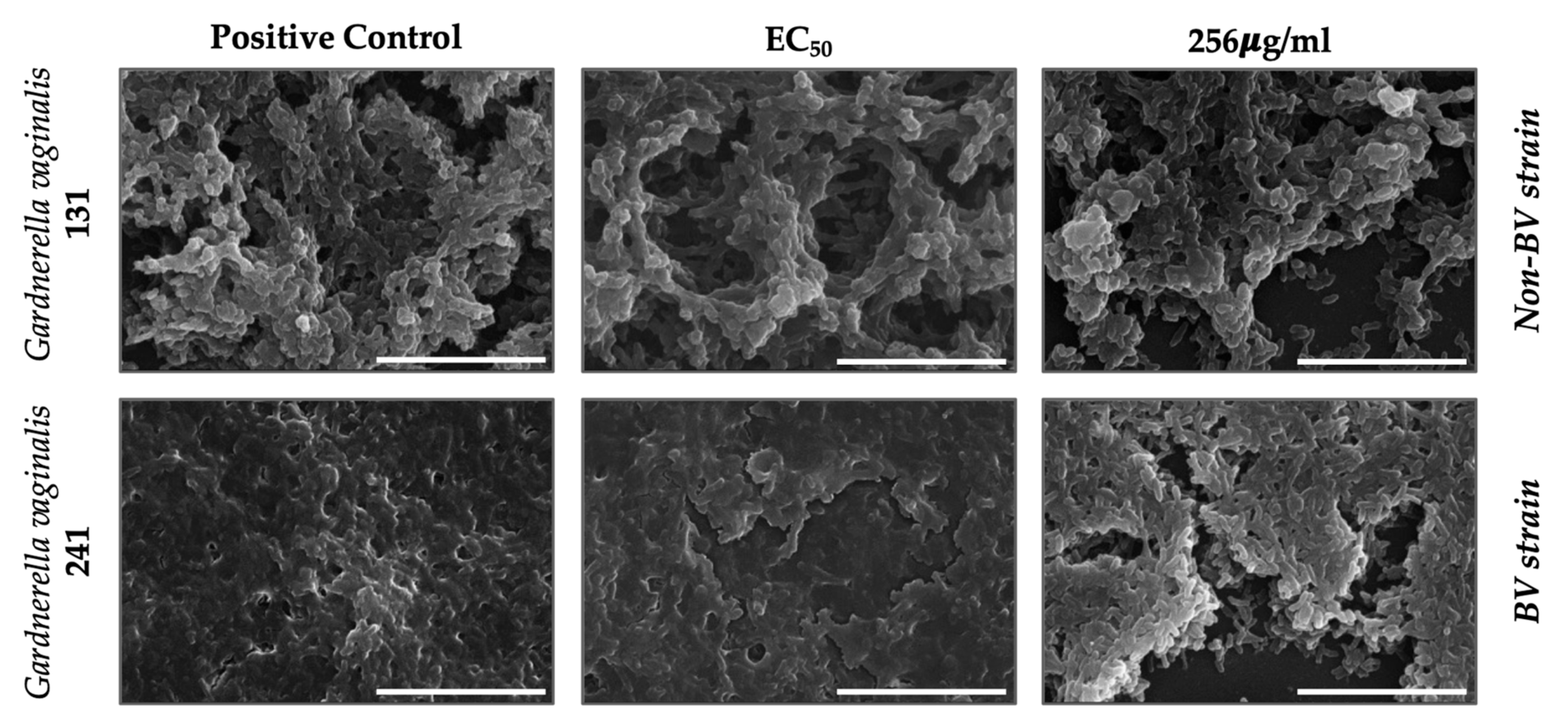 Pathogens 10 00261 g003 Pathogens 10 00261 g003