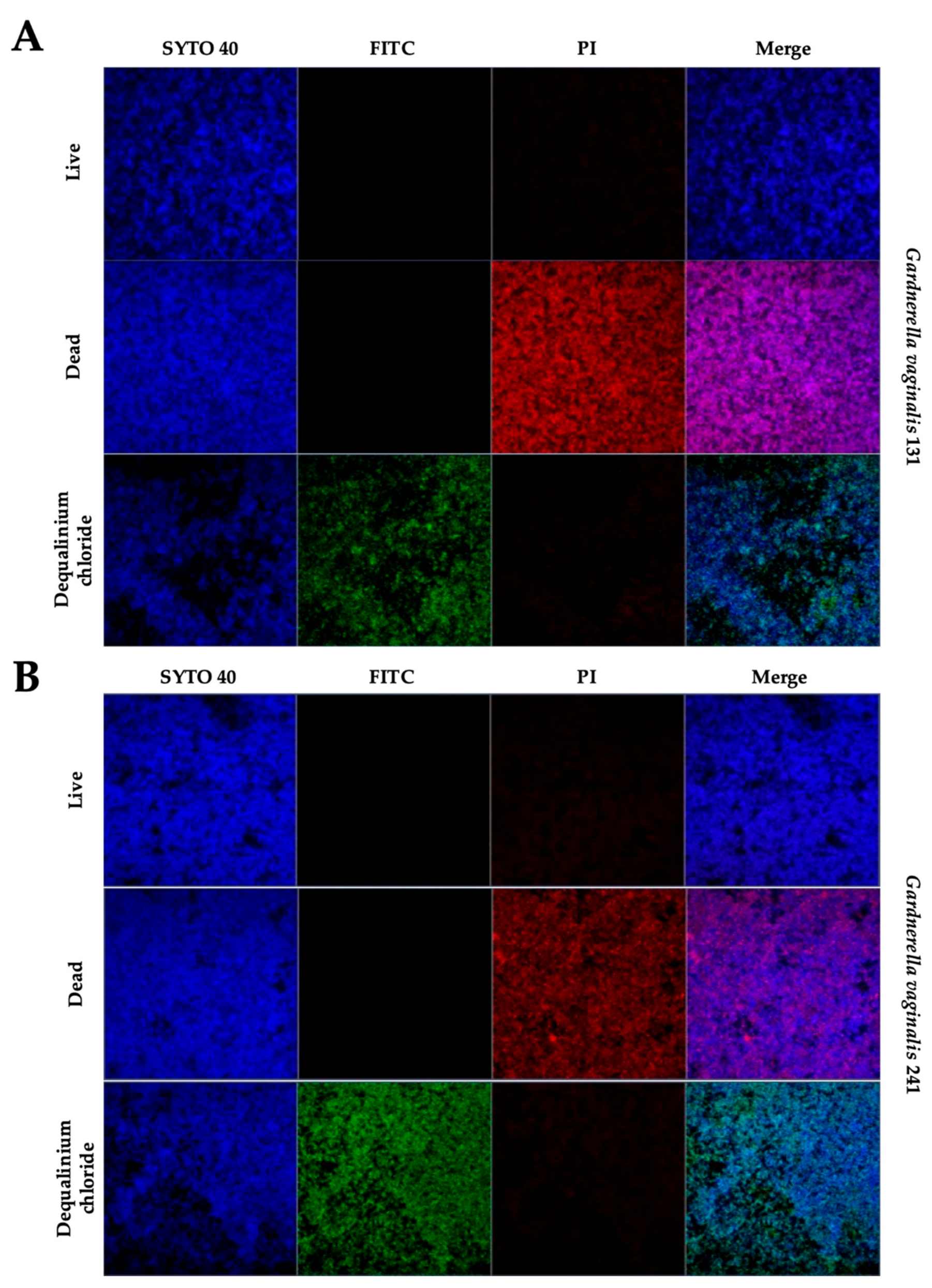 Pathogens 10 00261 g004 Pathogens 10 00261 g004