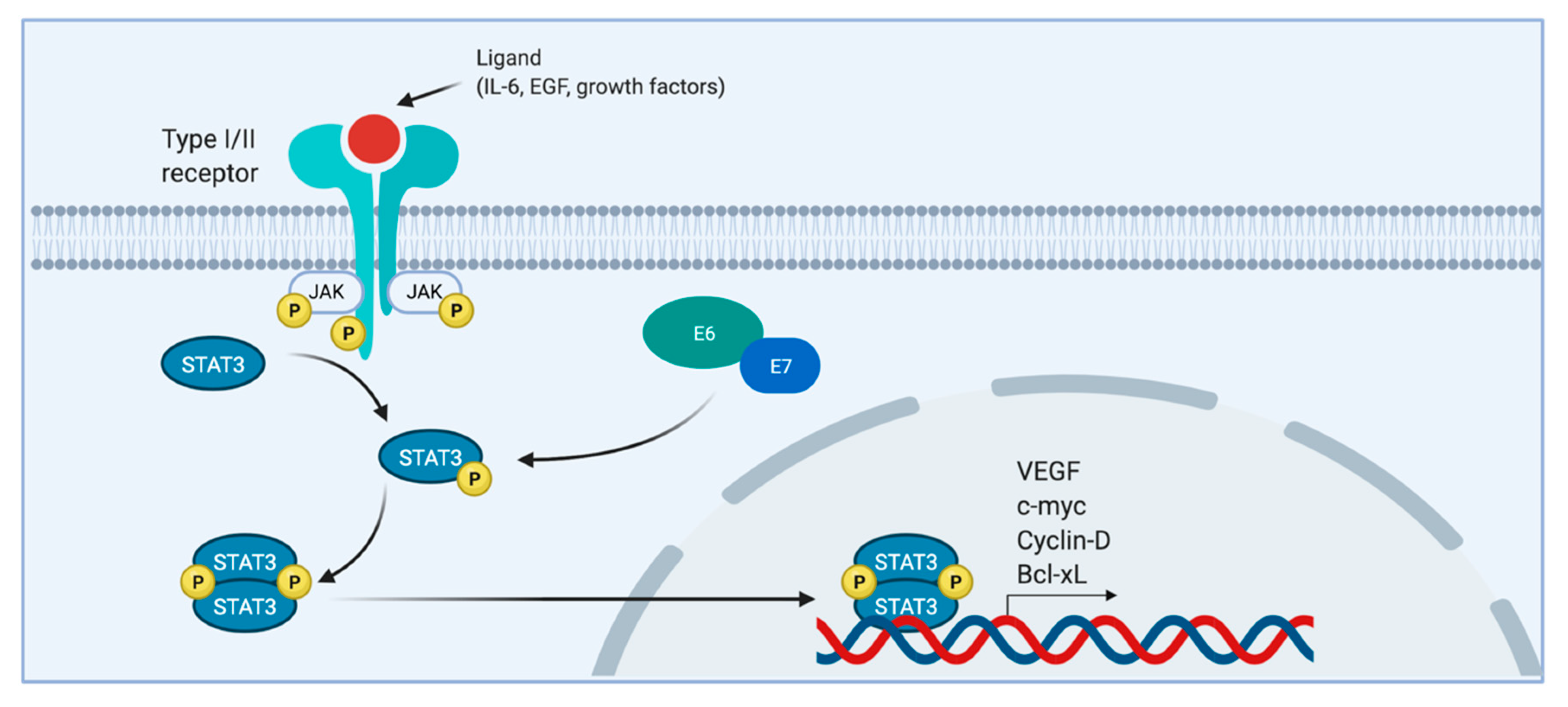 Pathogens 10 00262 g003