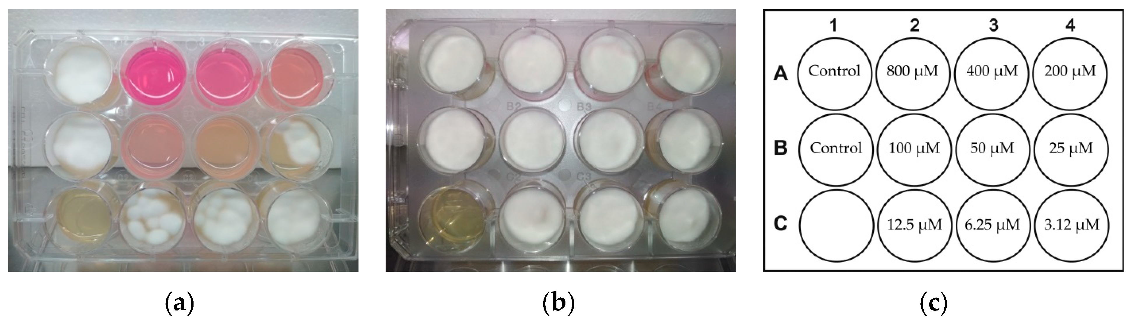 Pathogens 10 00263 g004