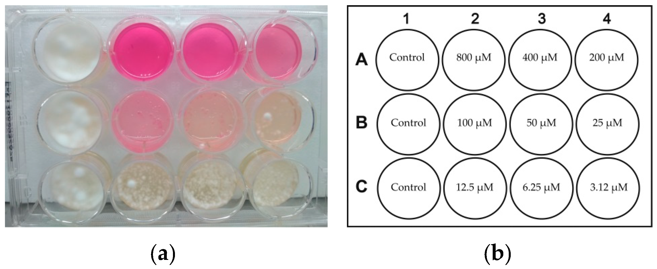 Pathogens 10 00263 g008