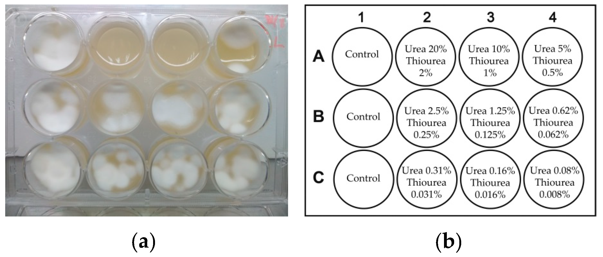 Pathogens 10 00263 g009