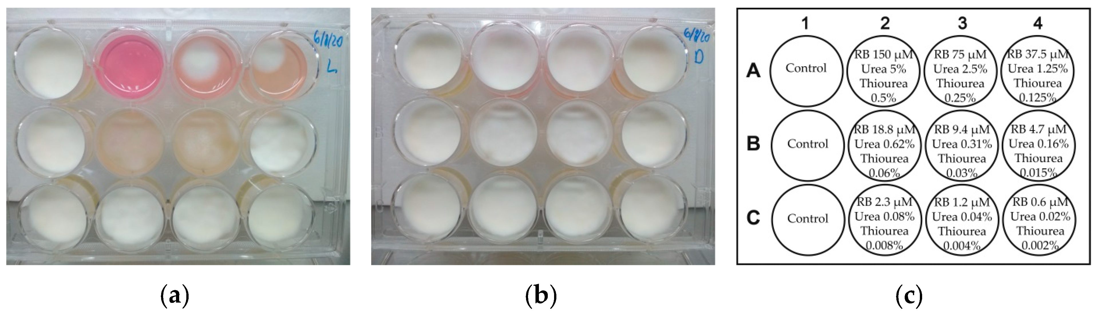 Pathogens 10 00263 g010