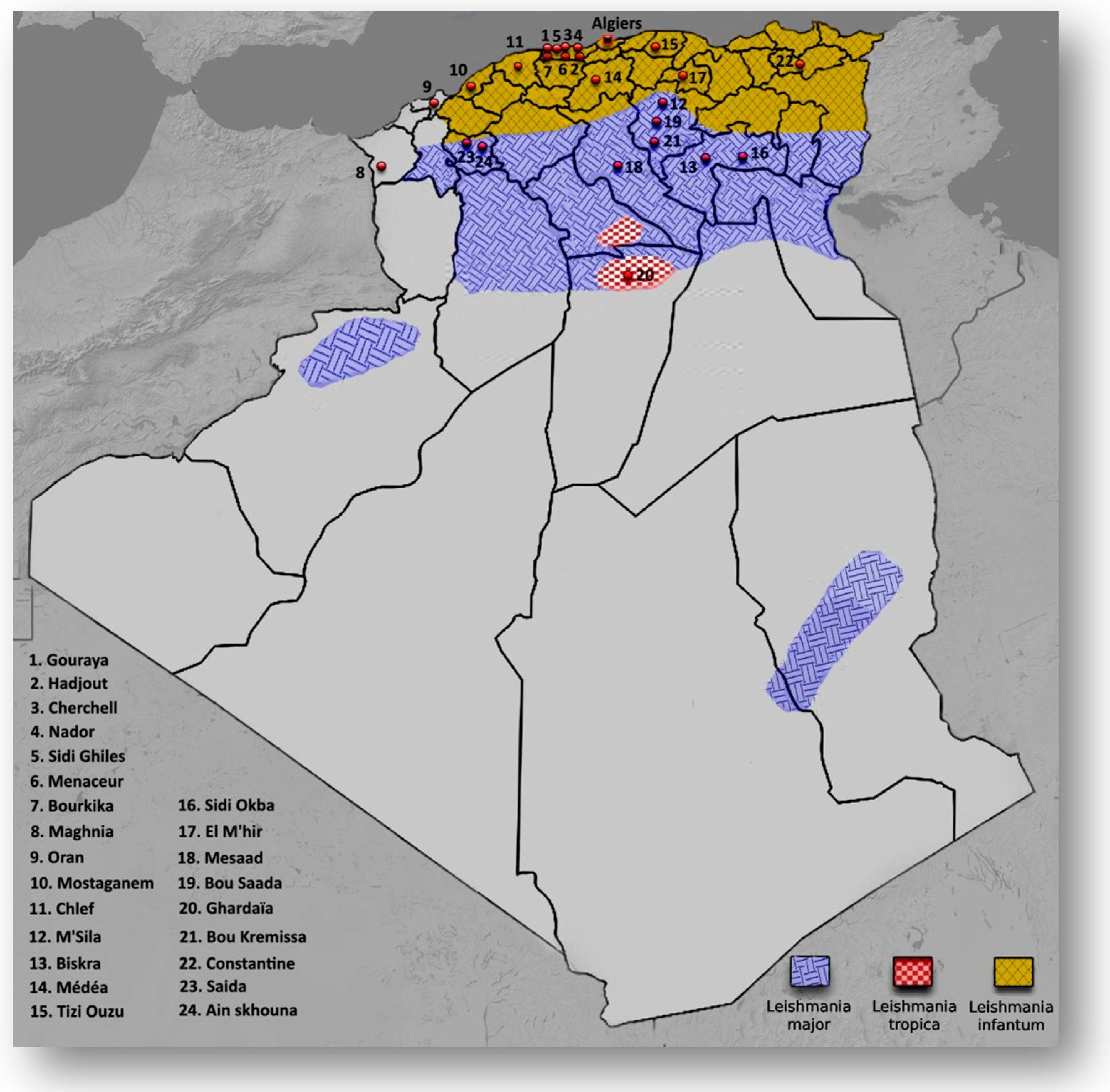Pathogens 10 00267 g001