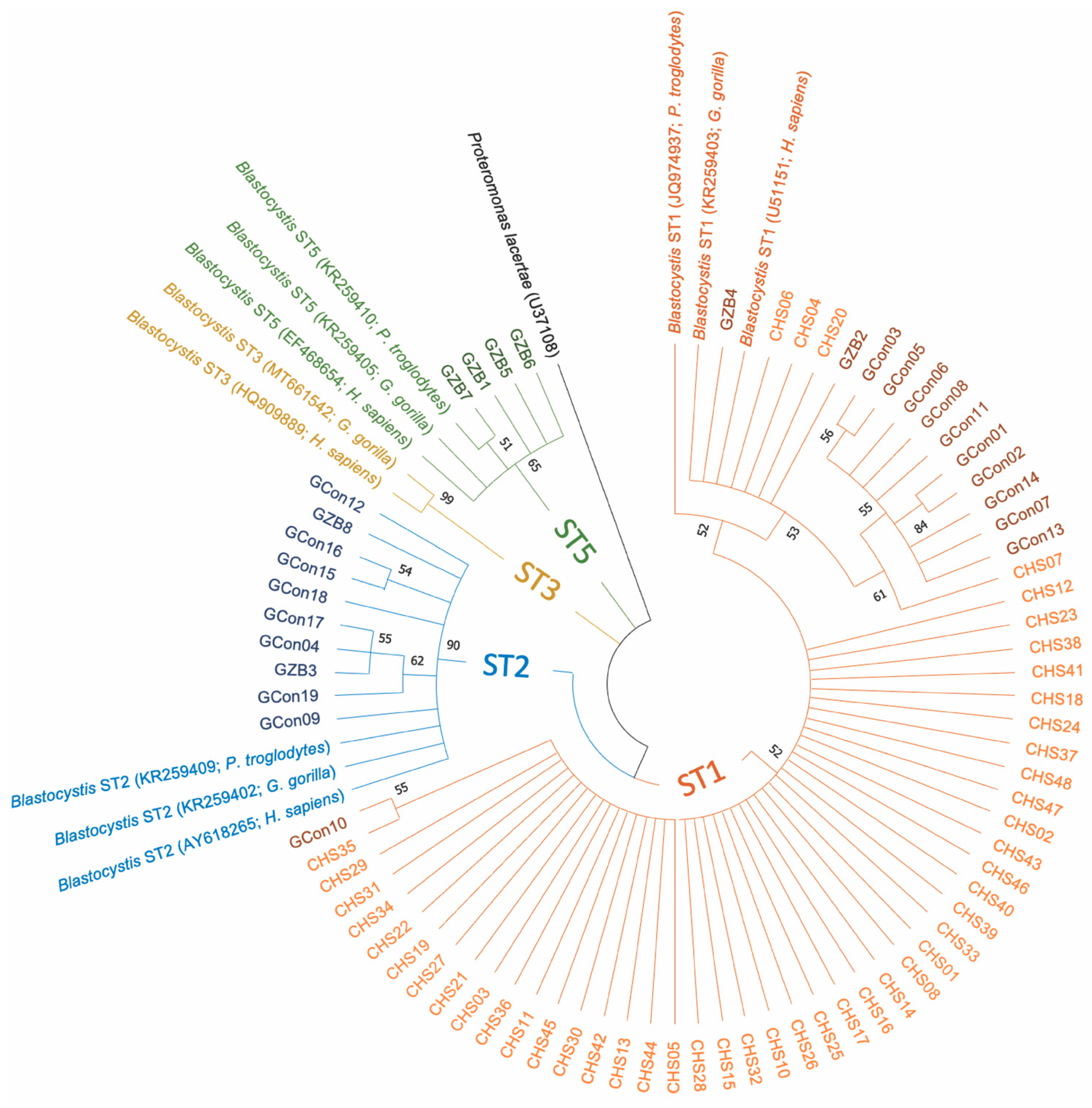 Pathogens 10 00280 g001 Pathogens 10 00280 g001
