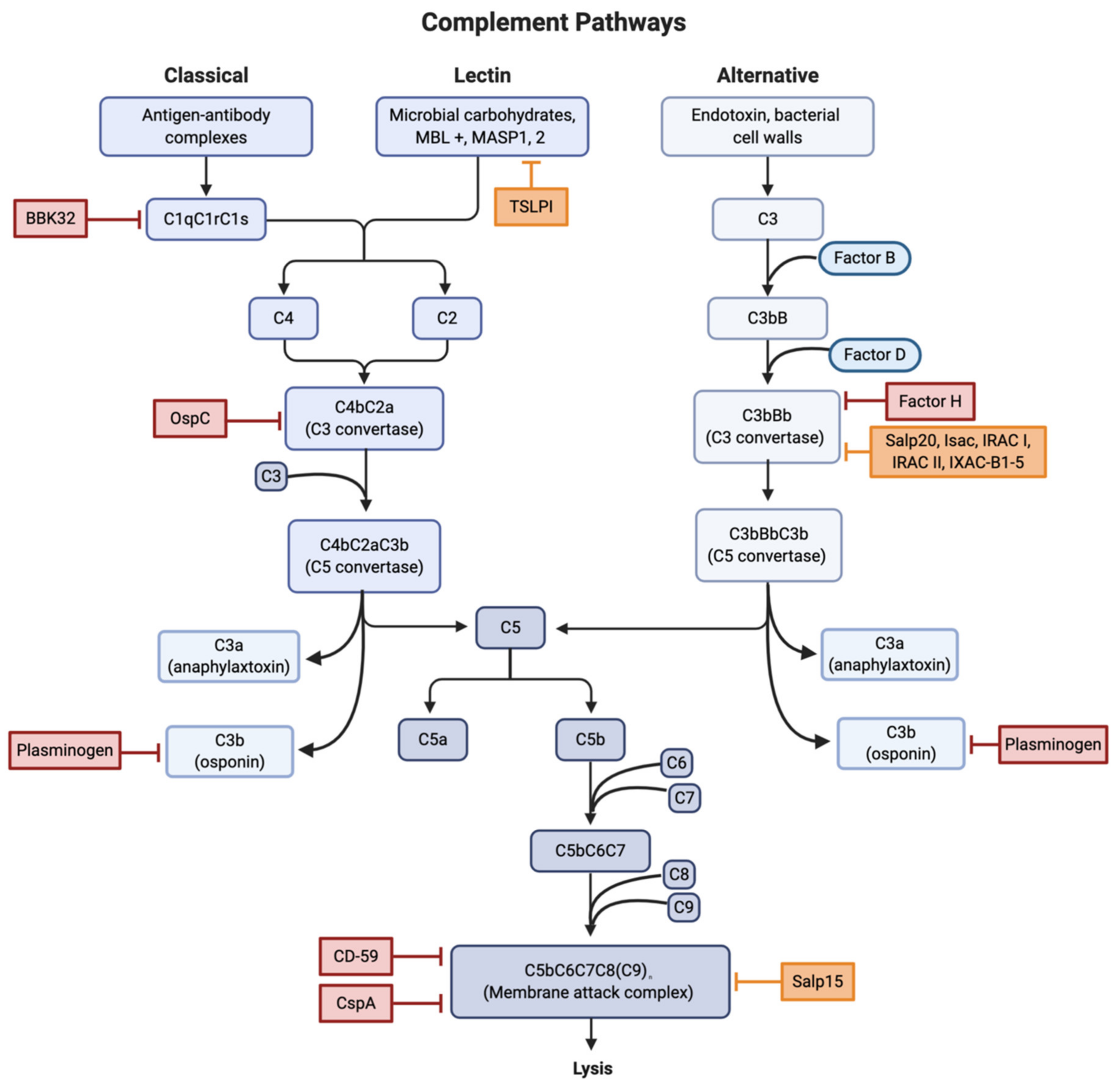 Pathogens 10 00281 g002