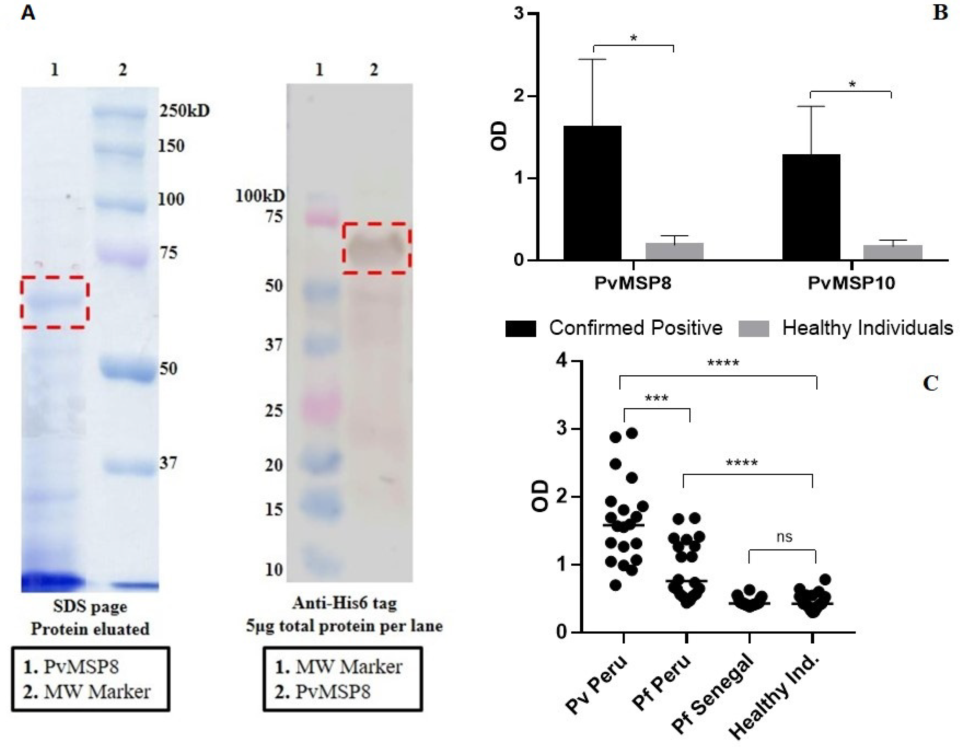 Pathogens 10 00282 g001