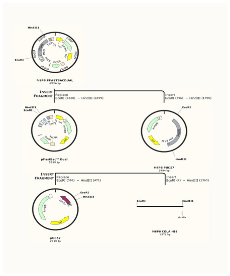 Pathogens 10 00282 g0a1