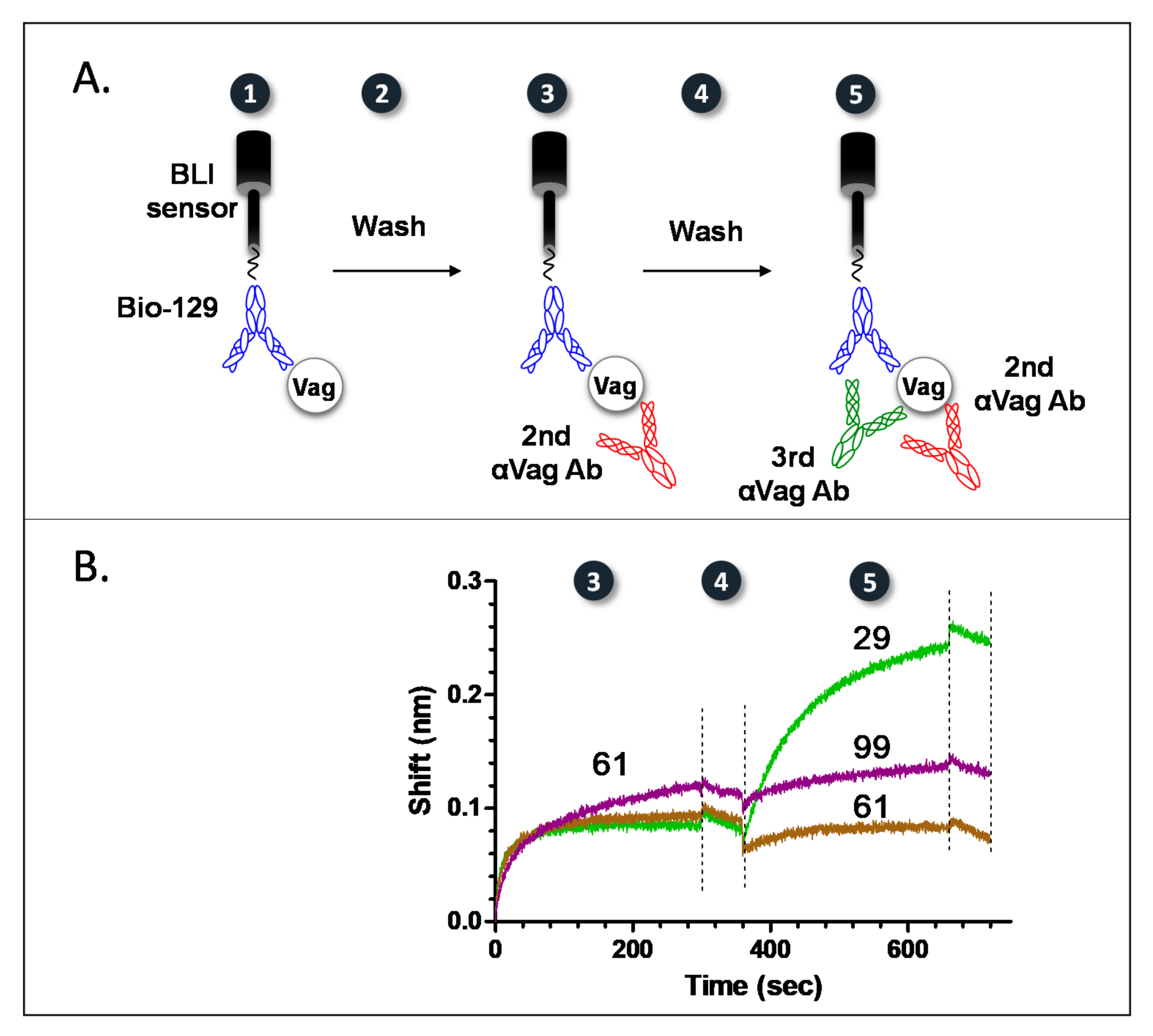 Pathogens 10 00285 g001
