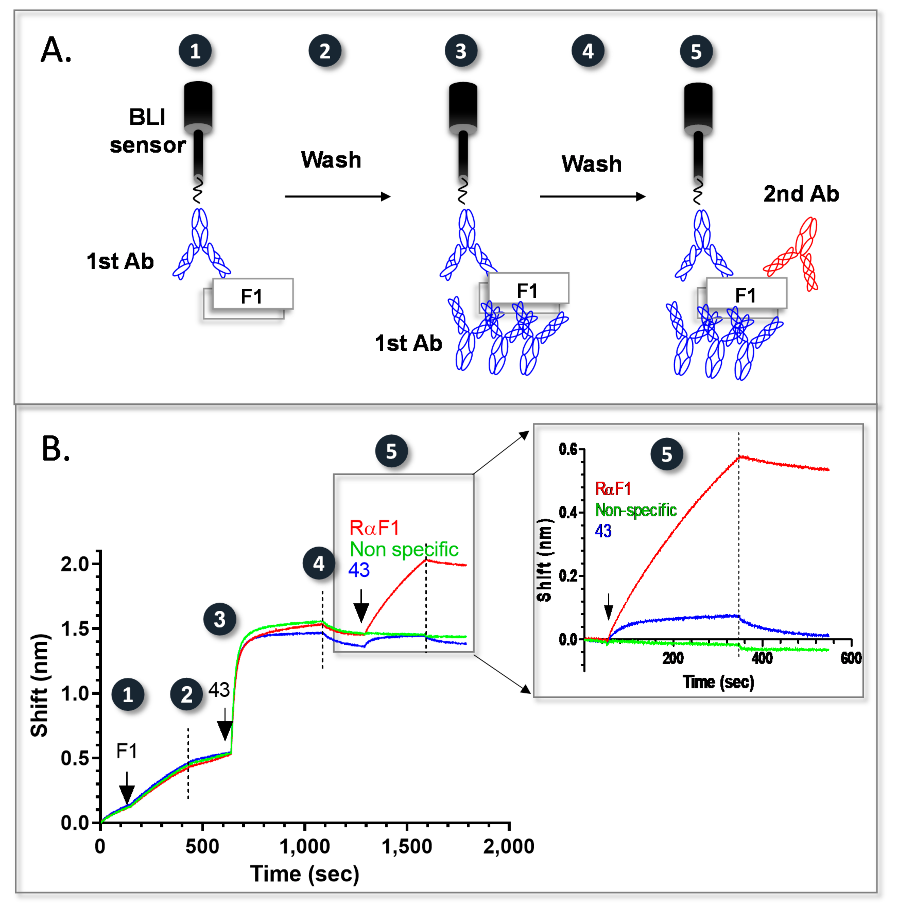 Pathogens 10 00285 g003