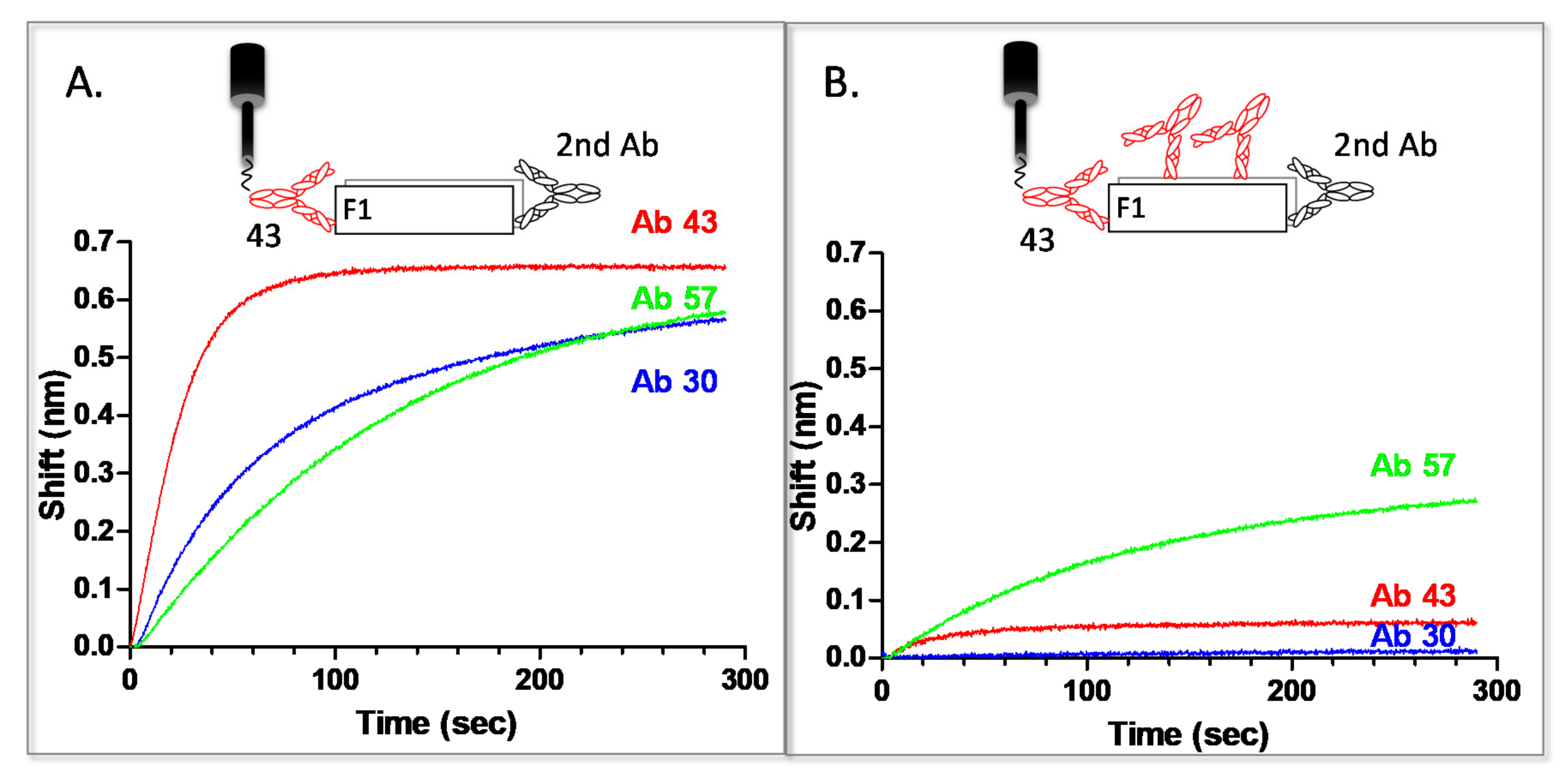 Pathogens 10 00285 g004