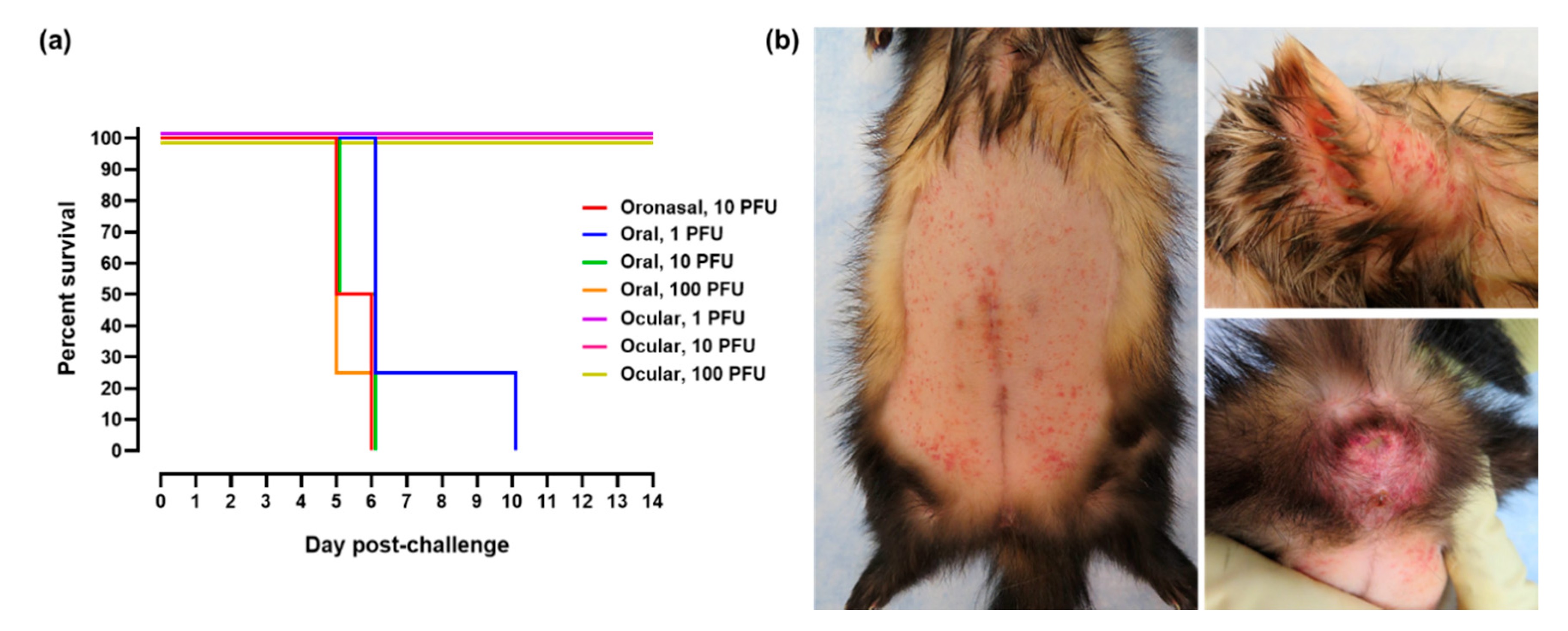 Pathogens 10 00292 g001
