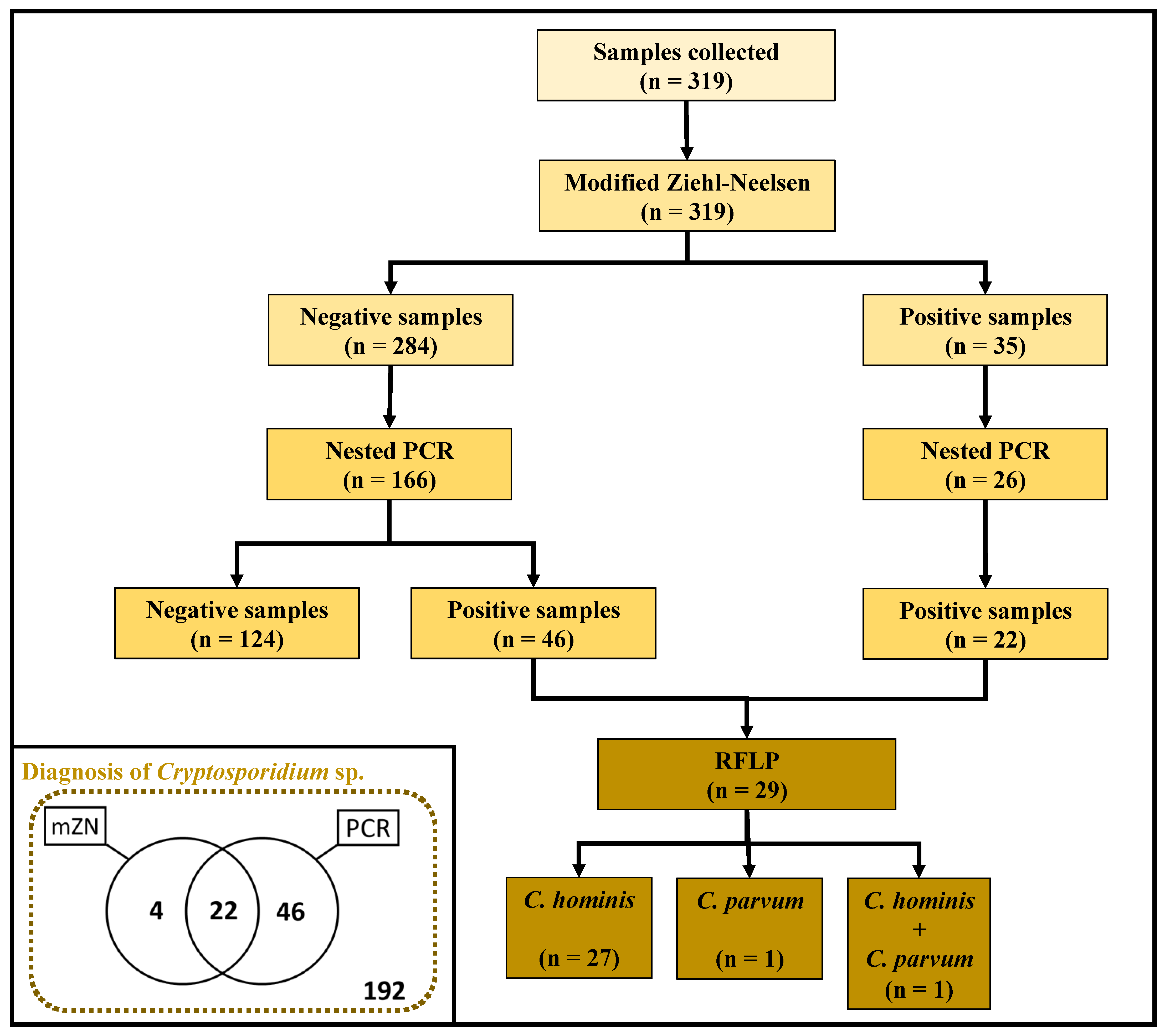 Pathogens 10 00293 g001
