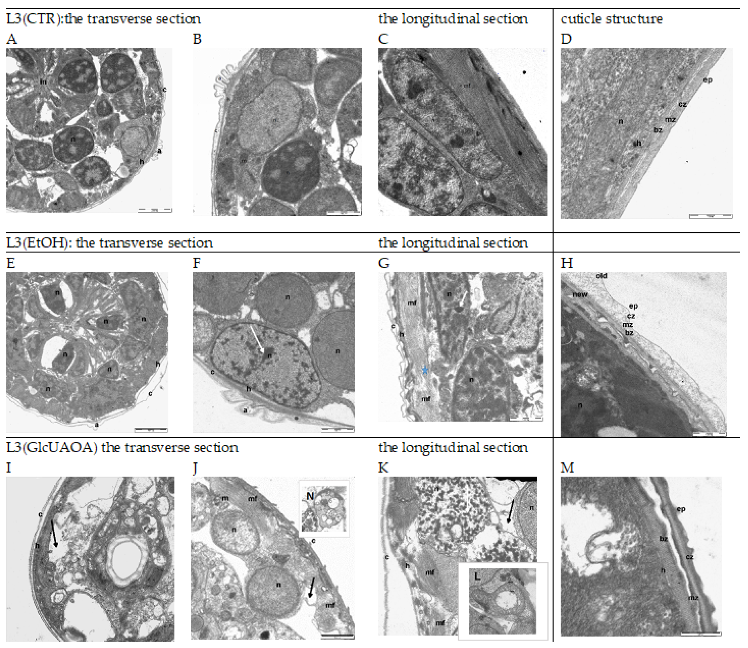 Pathogens 10 00296 g001