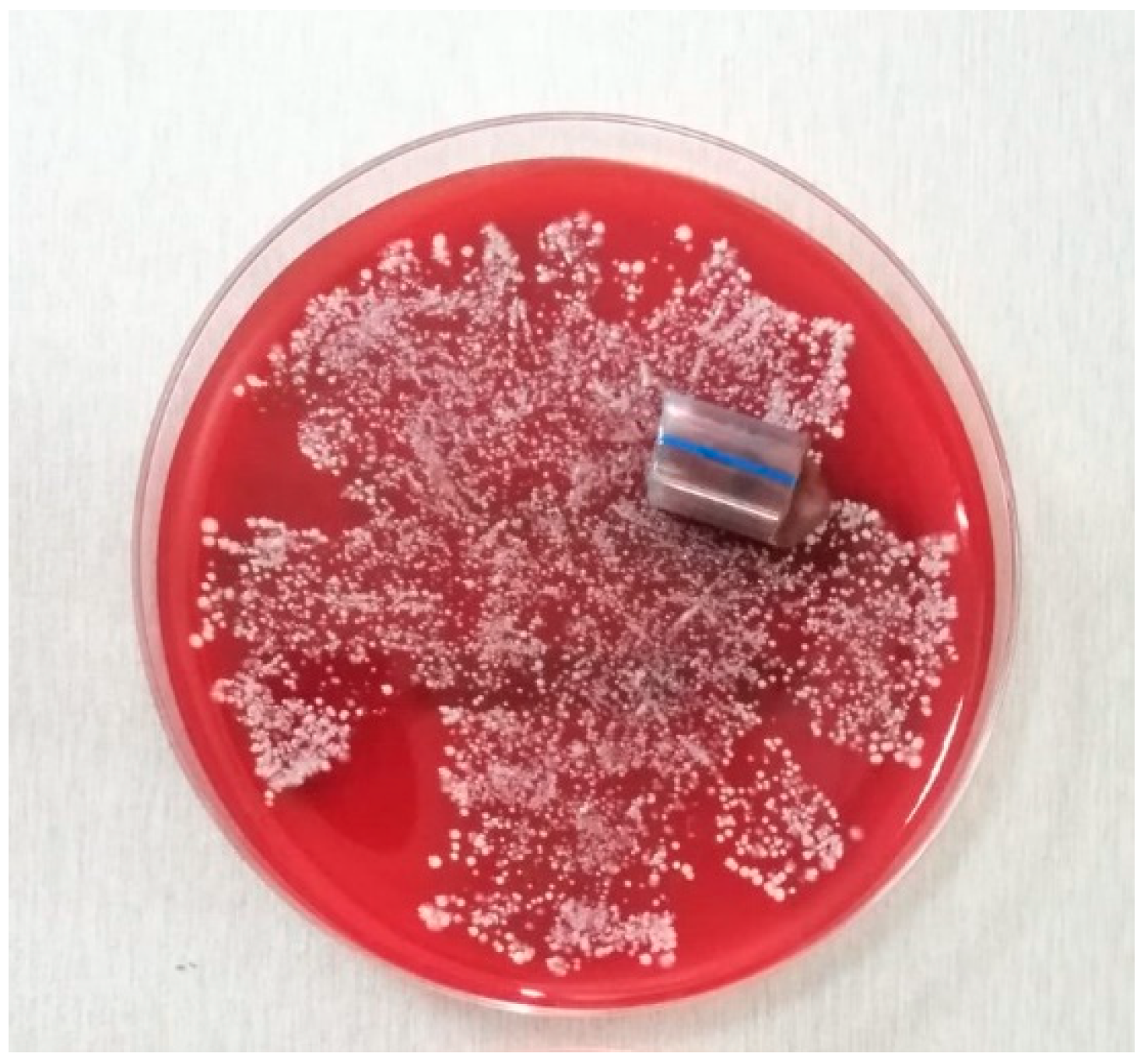 Pathogens 10 00306 g003