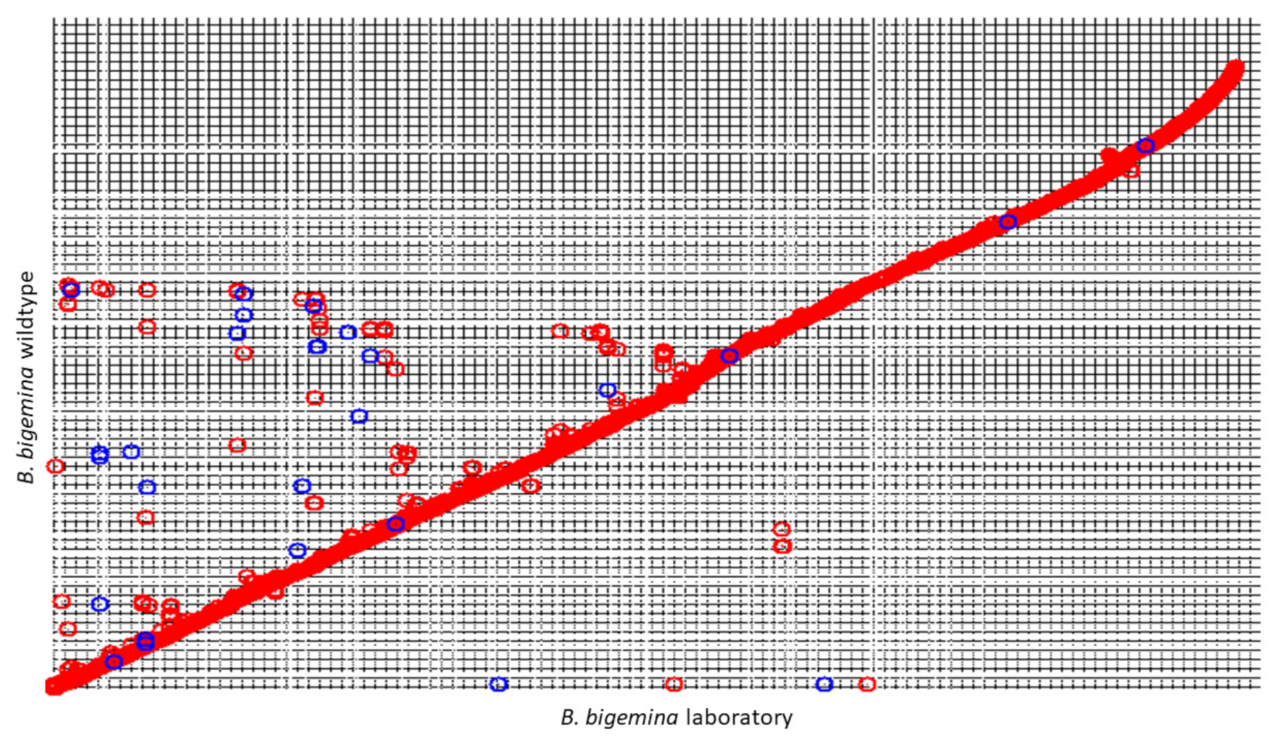 Pathogens 10 00318 g001