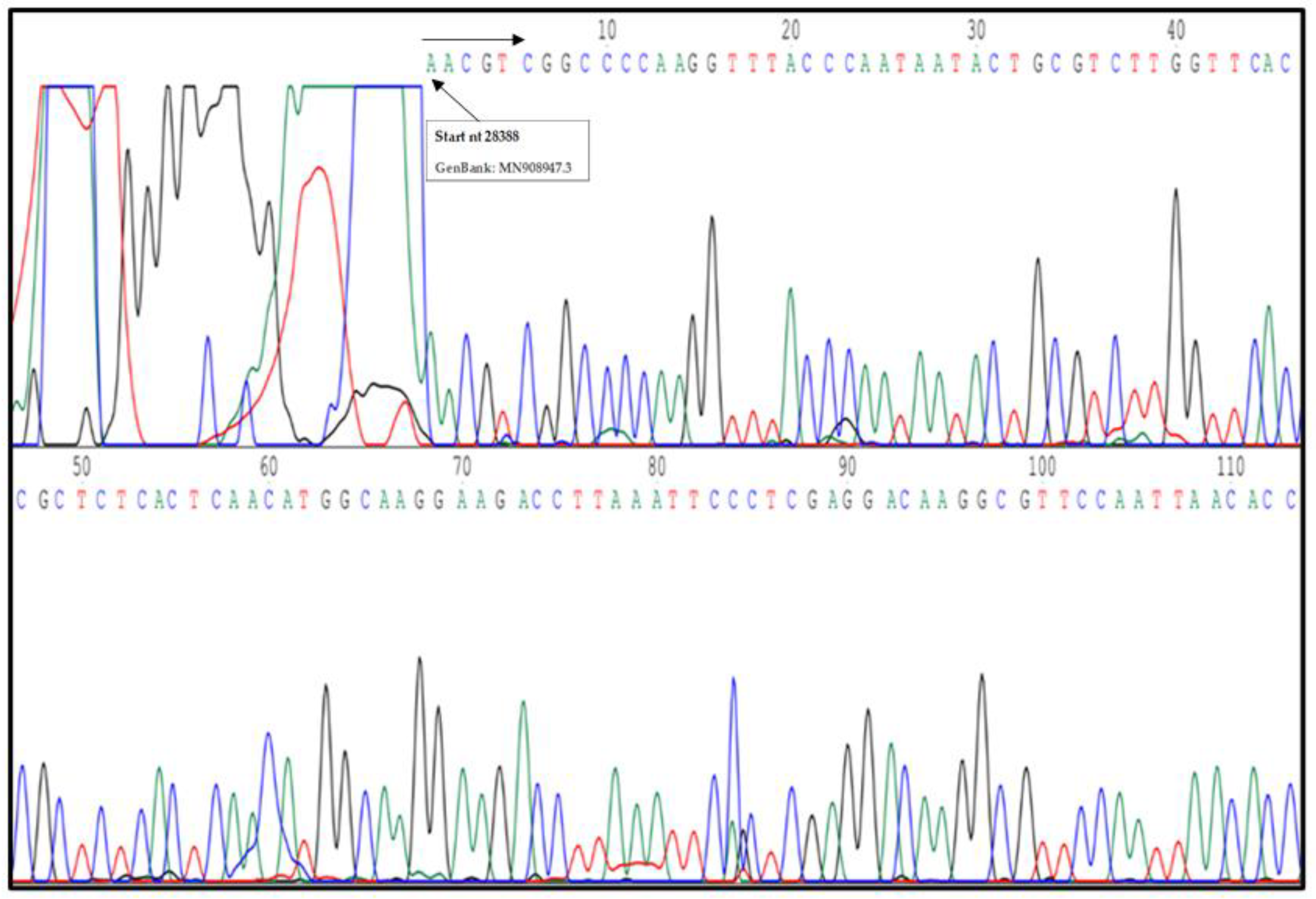 Pathogens 10 00325 g005