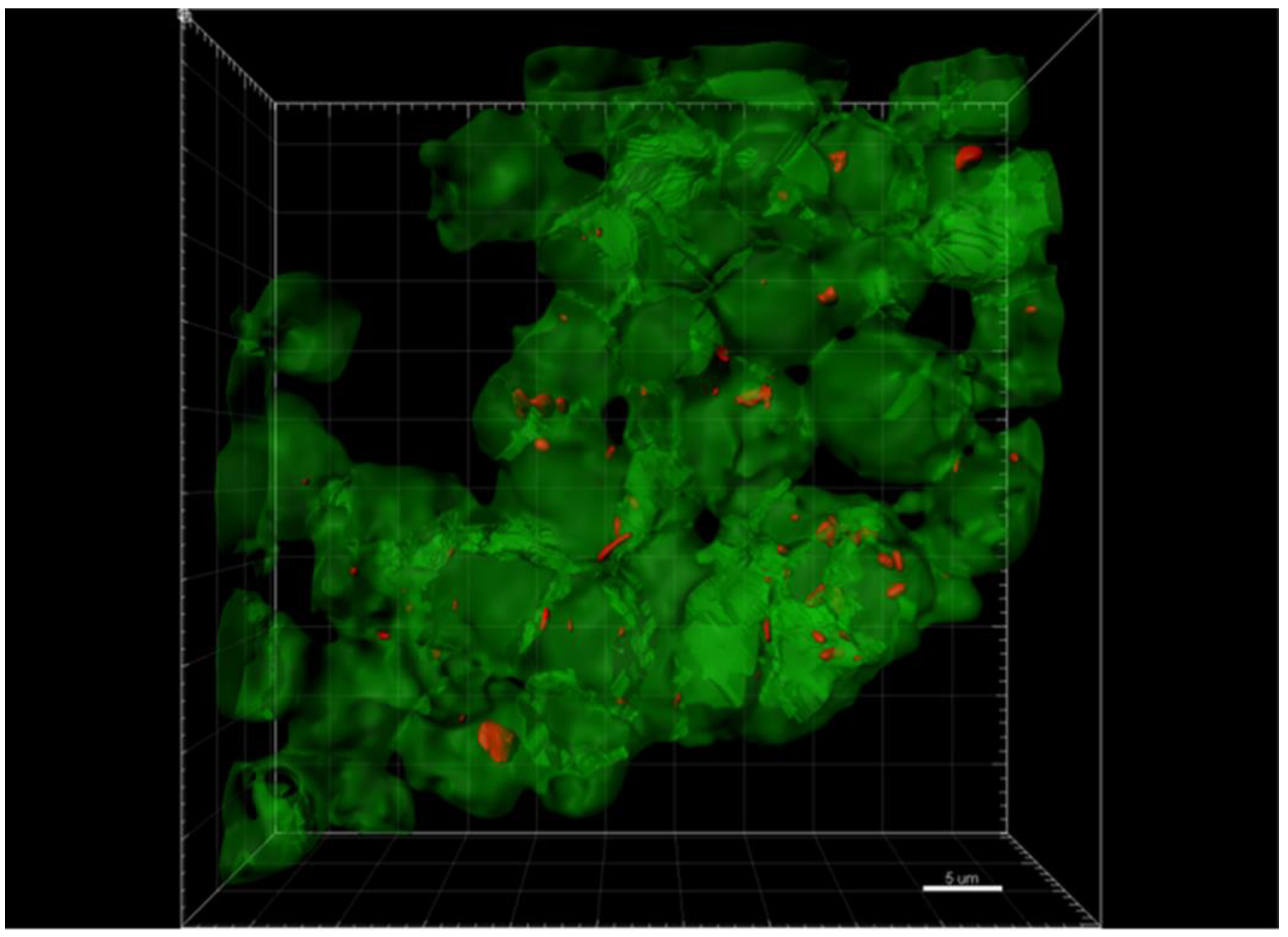 Pathogens 10 00326 g003 Pathogens 10 00326 g003