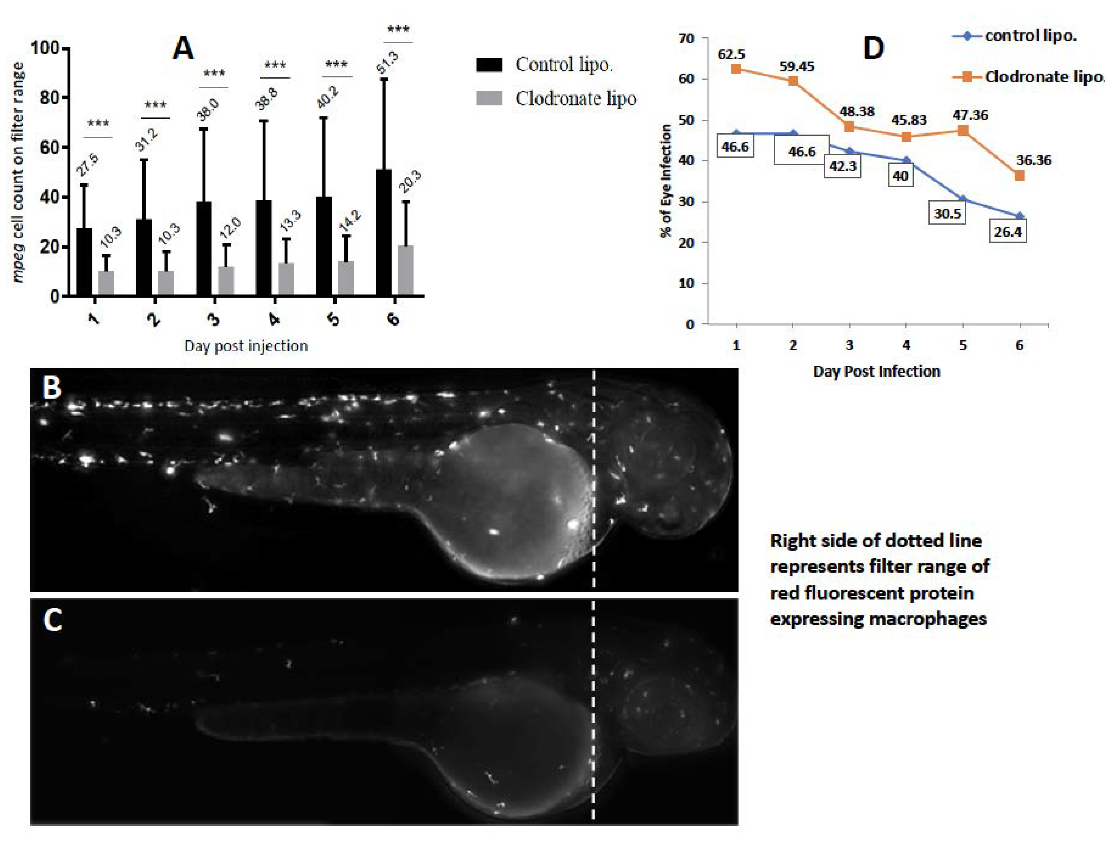 Pathogens 10 00333 g004