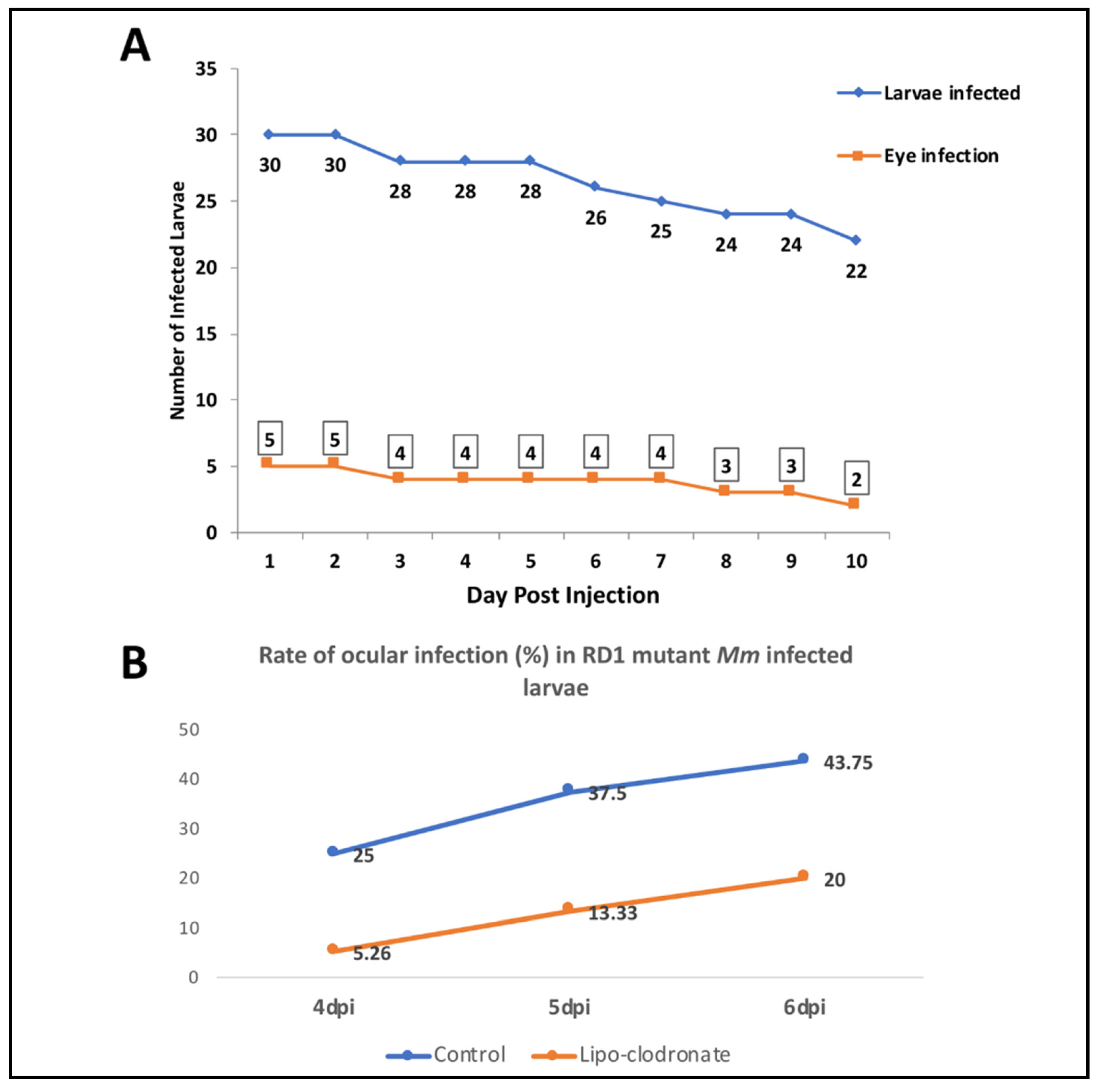 Pathogens 10 00333 g005