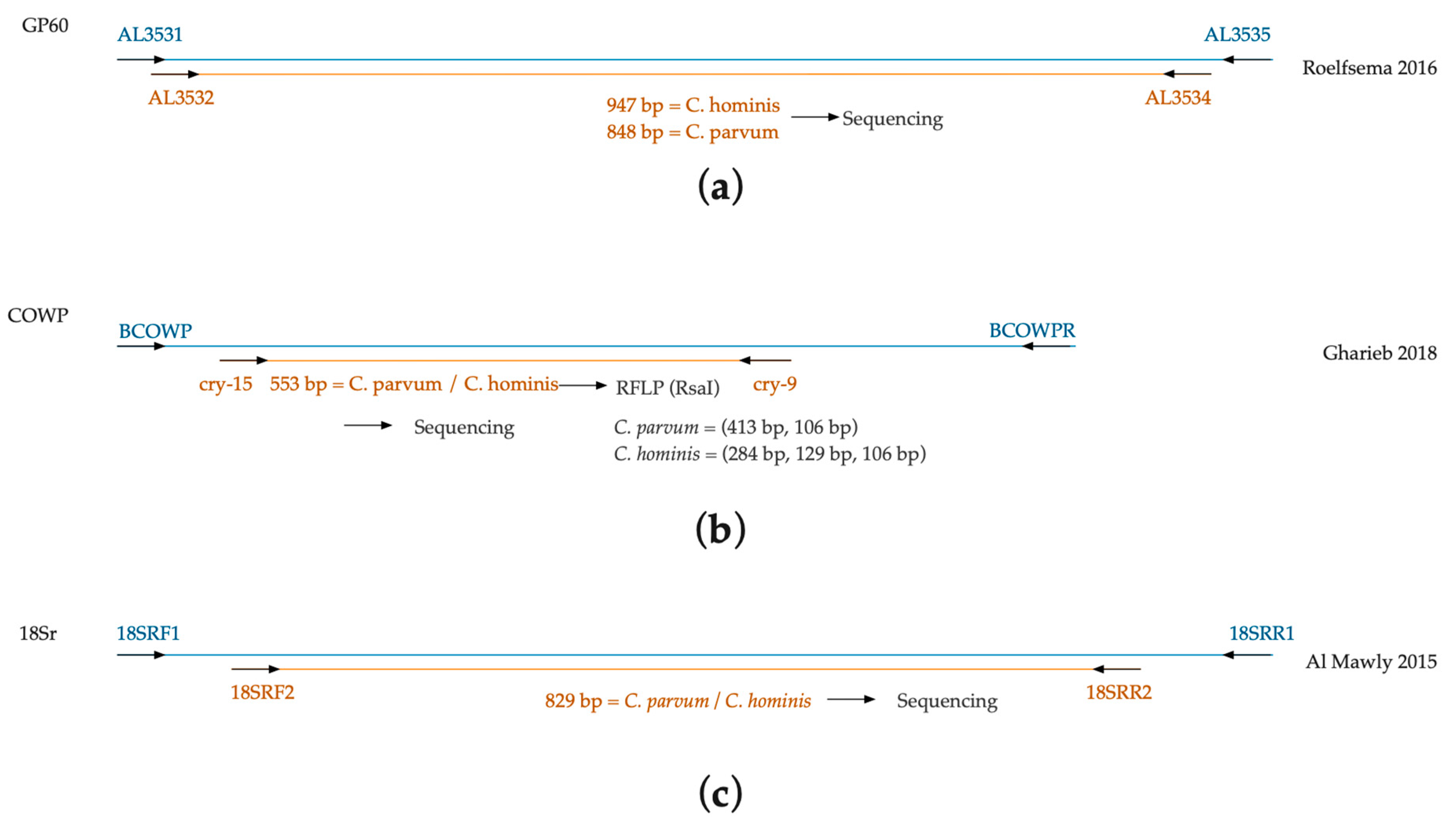 Pathogens 10 00336 g005