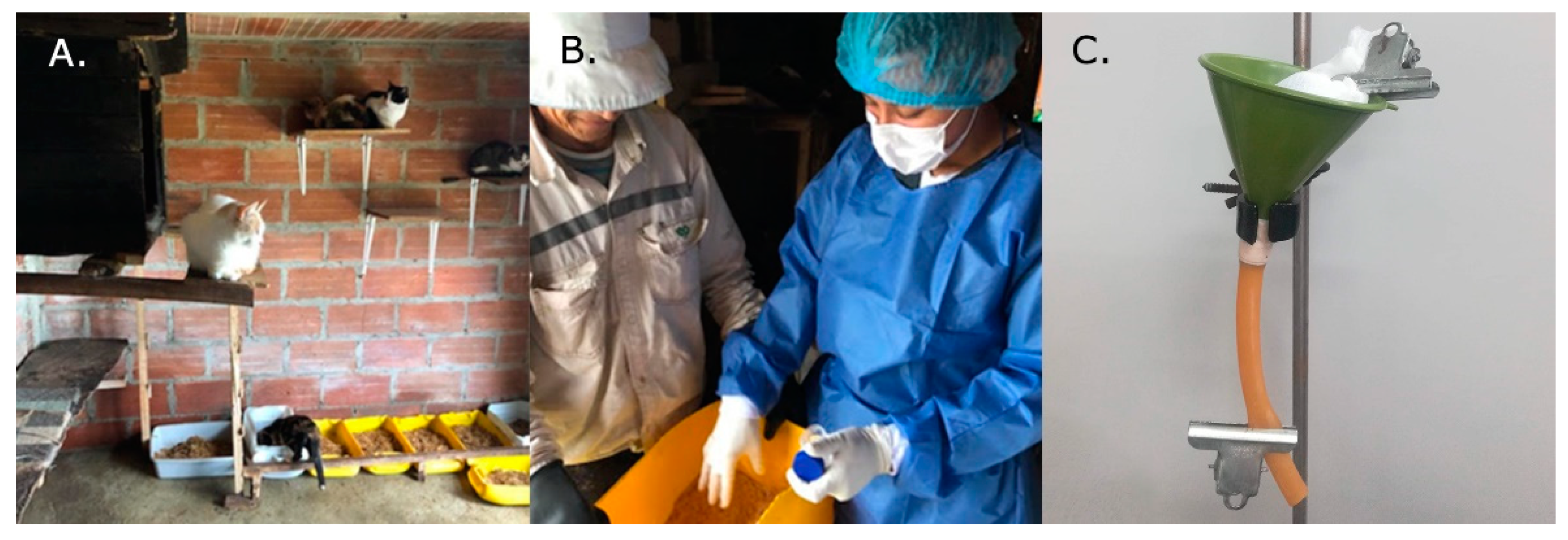 Pathogens 10 00337 g001 Pathogens 10 00337 g001