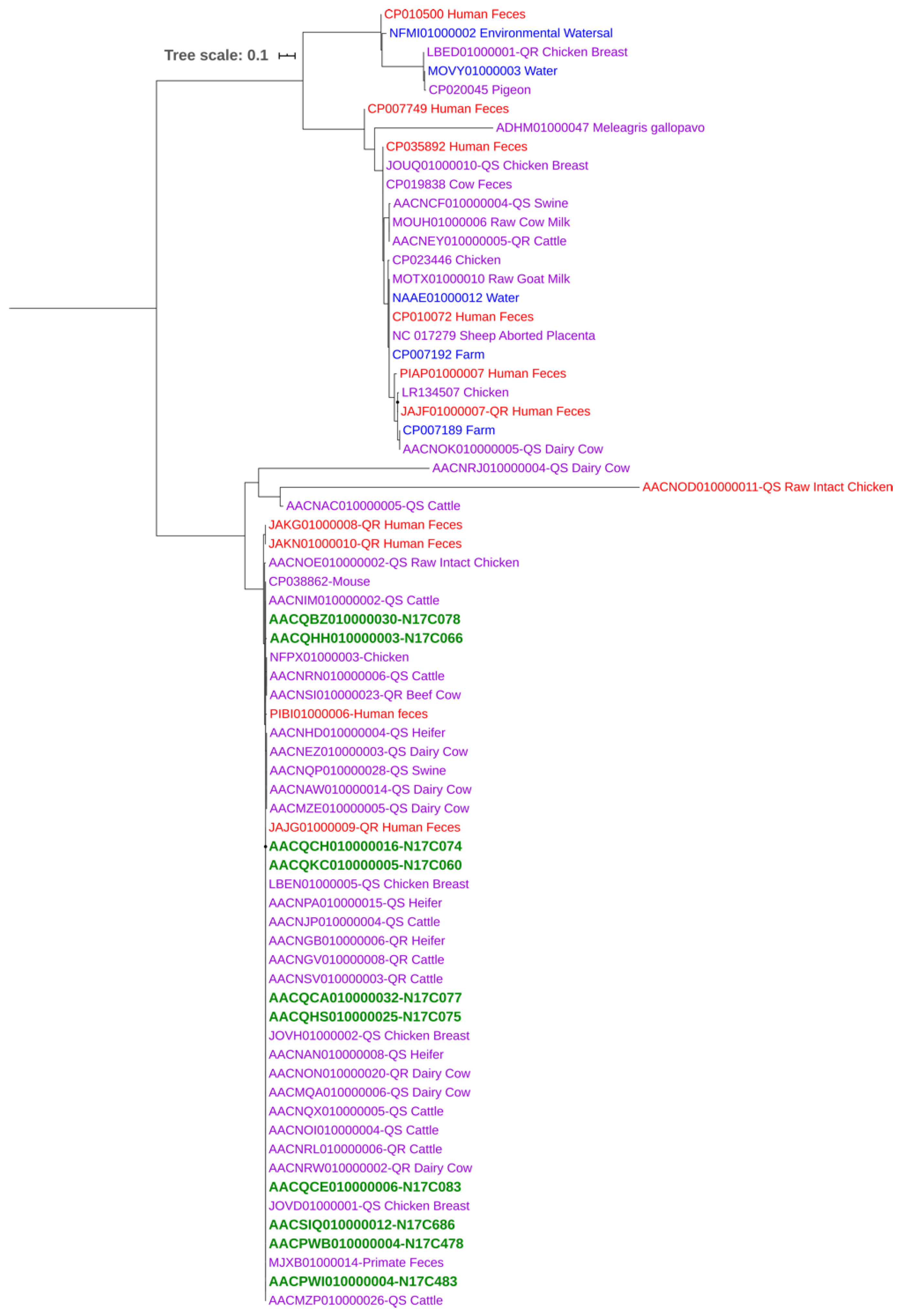 Pathogens 10 00345 g004