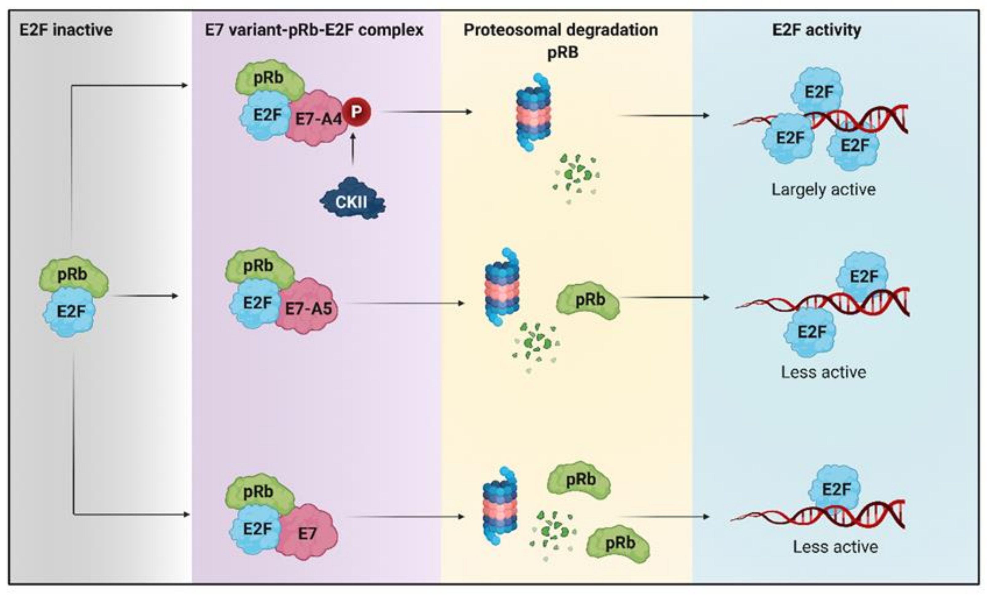 Pathogens 10 00347 g002