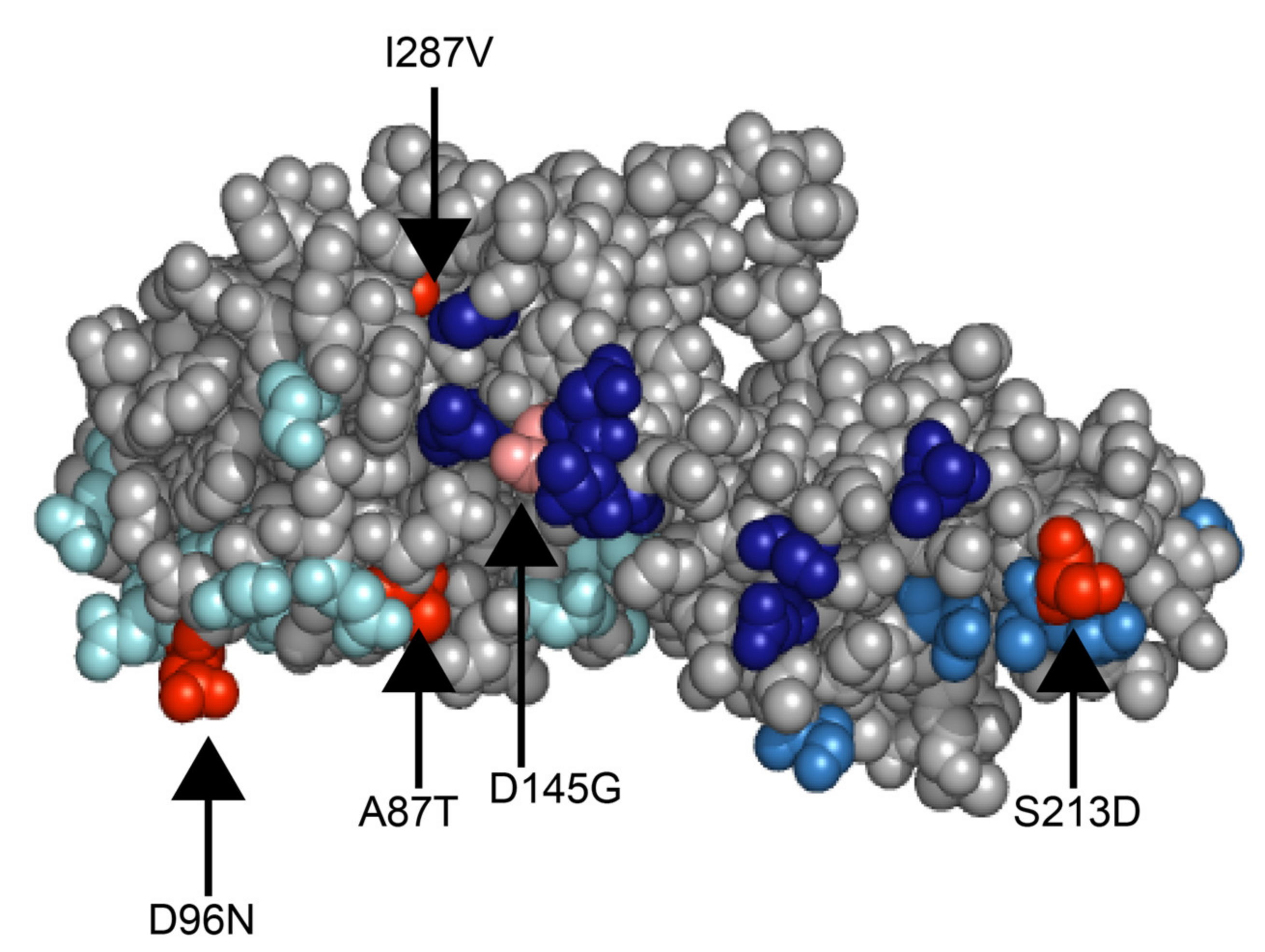 Pathogens 10 00350 g006