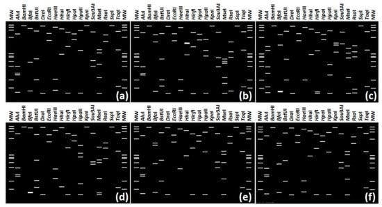 Pathogens 10 00352 g002