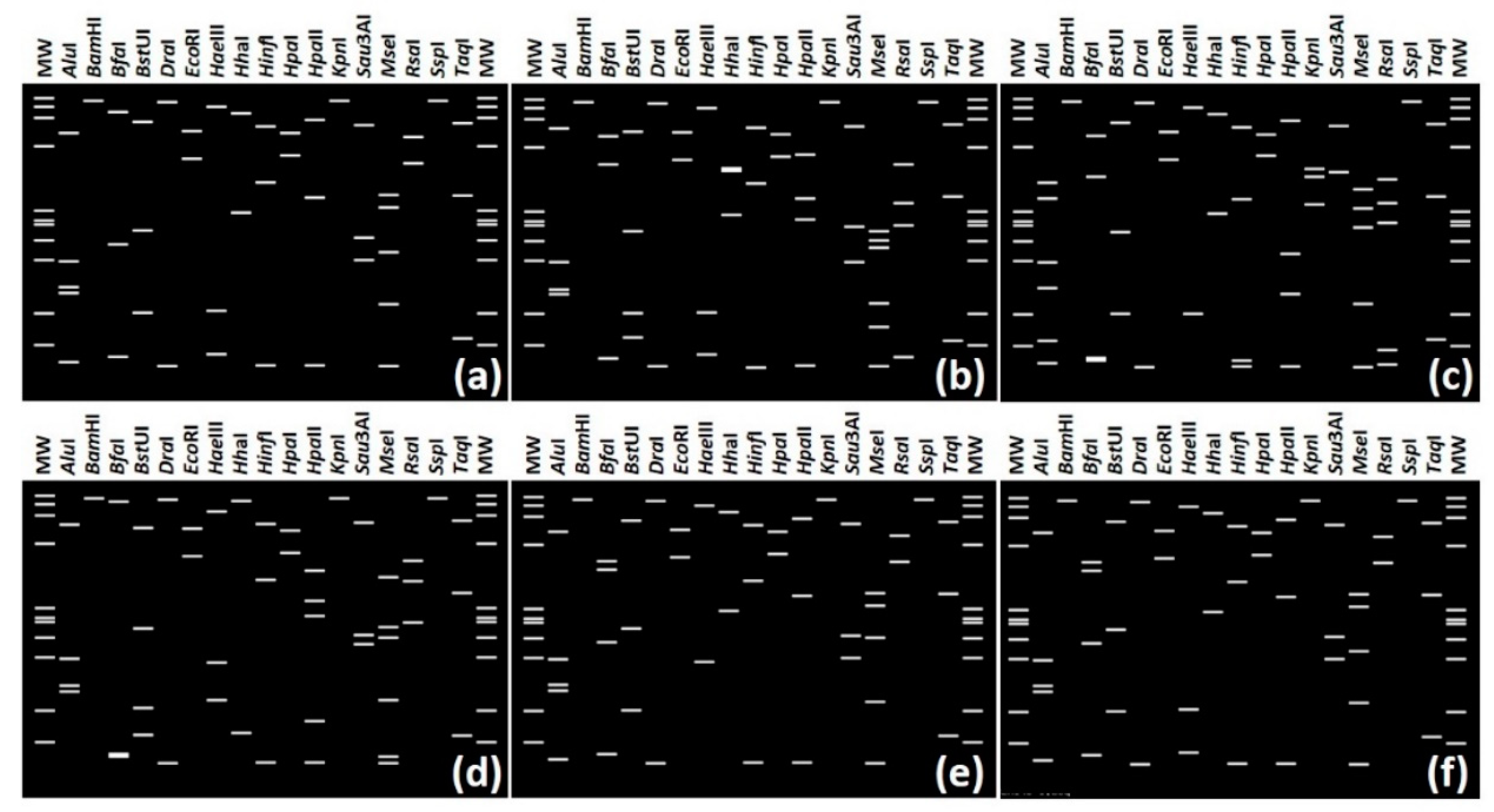 Pathogens 10 00352 g002