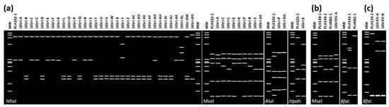 Pathogens 10 00352 g003