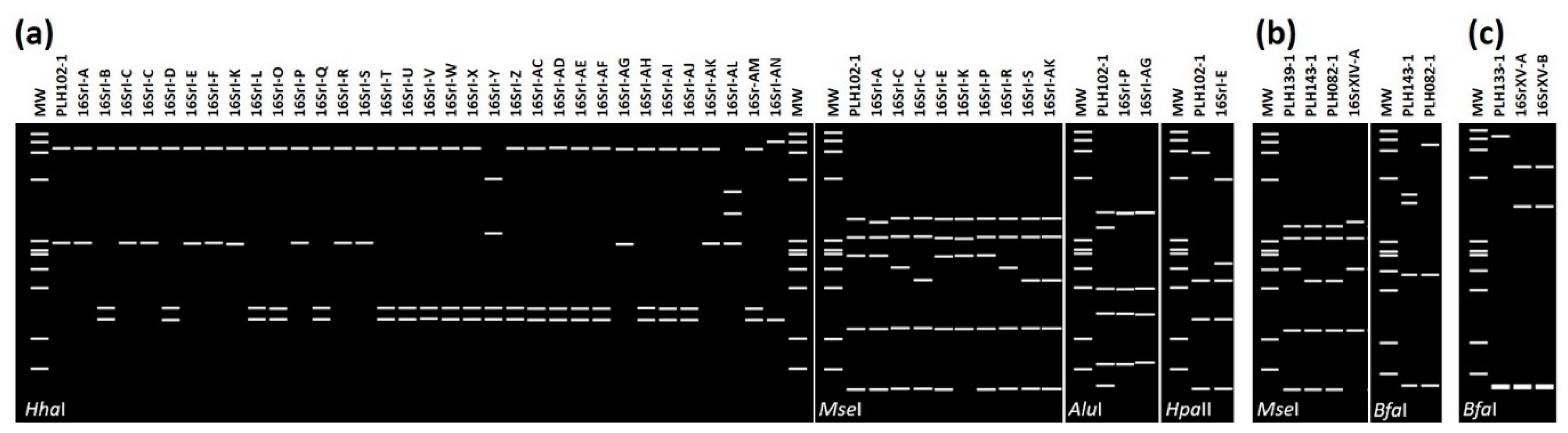 Pathogens 10 00352 g003
