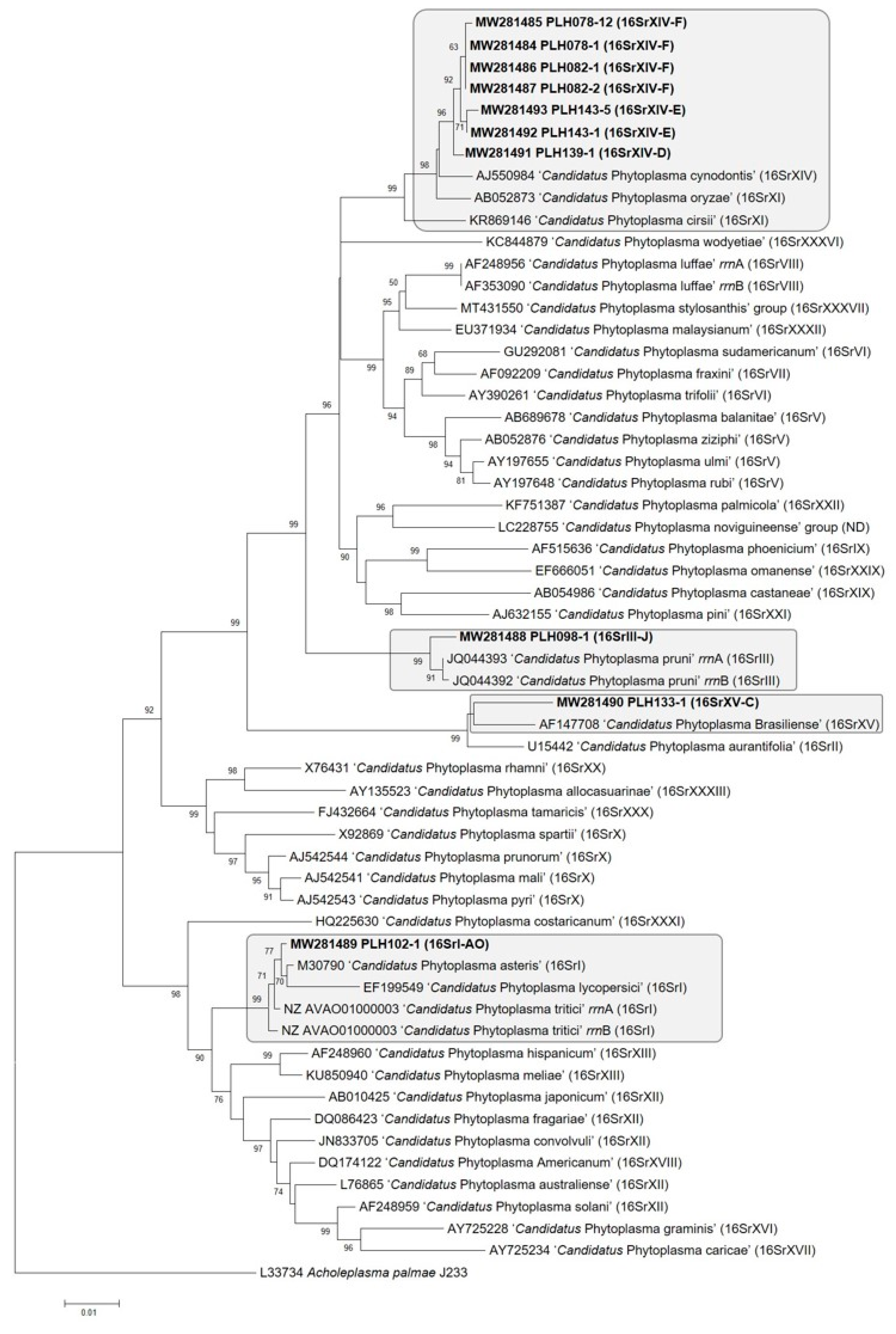 Pathogens 10 00352 g004
