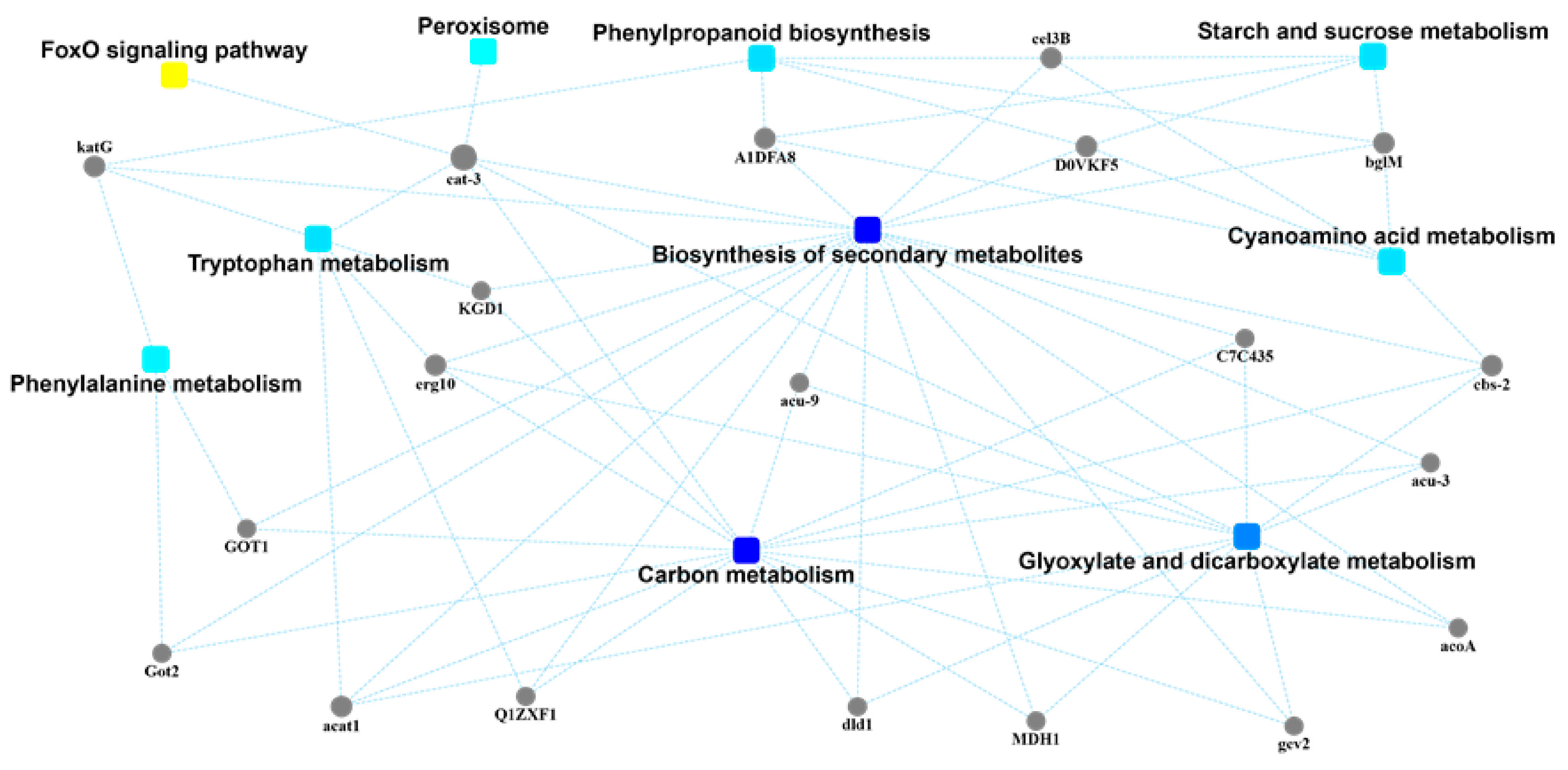 Pathogens 10 00364 g004 Pathogens 10 00364 g004