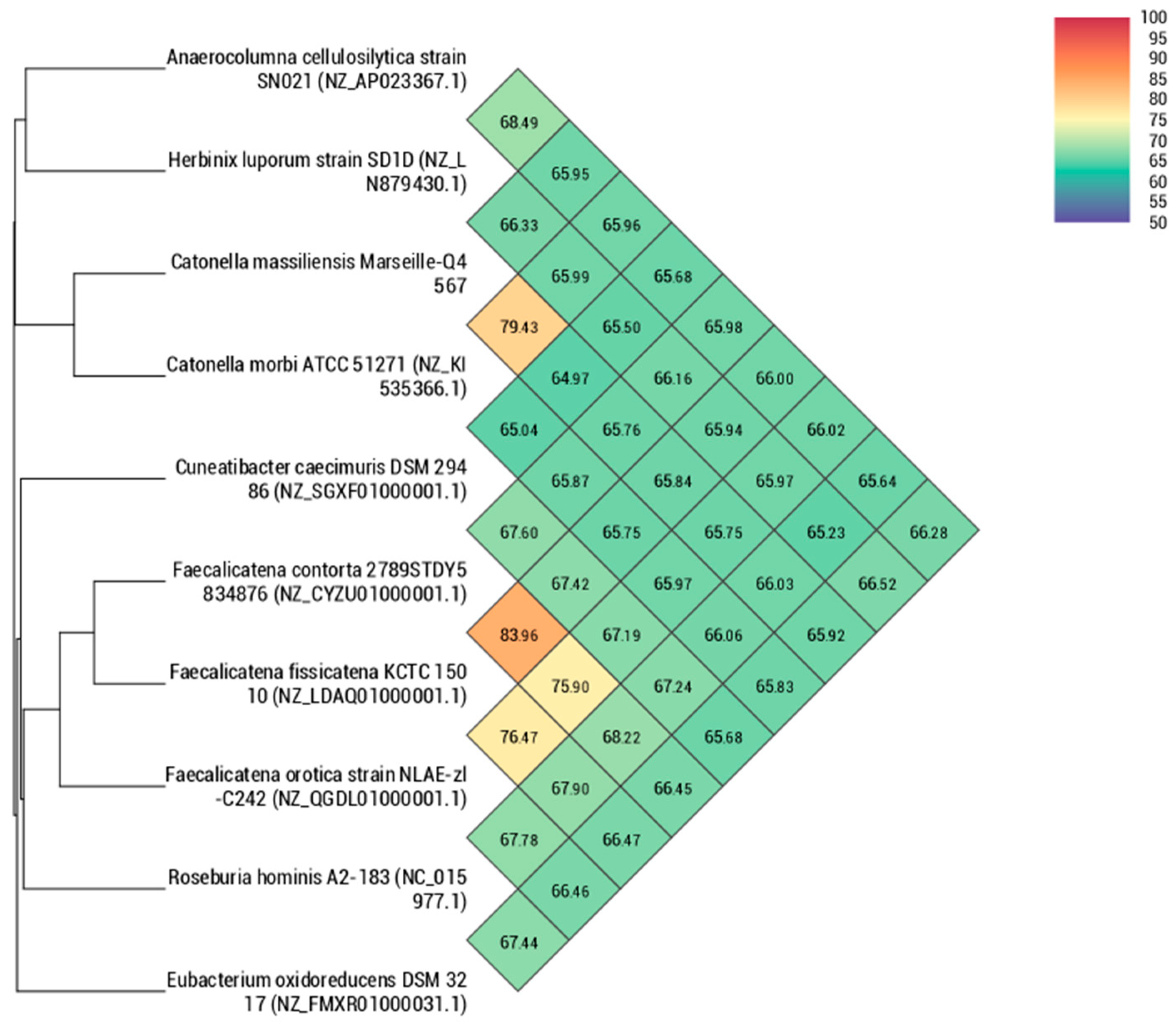 Pathogens 10 00367 g005