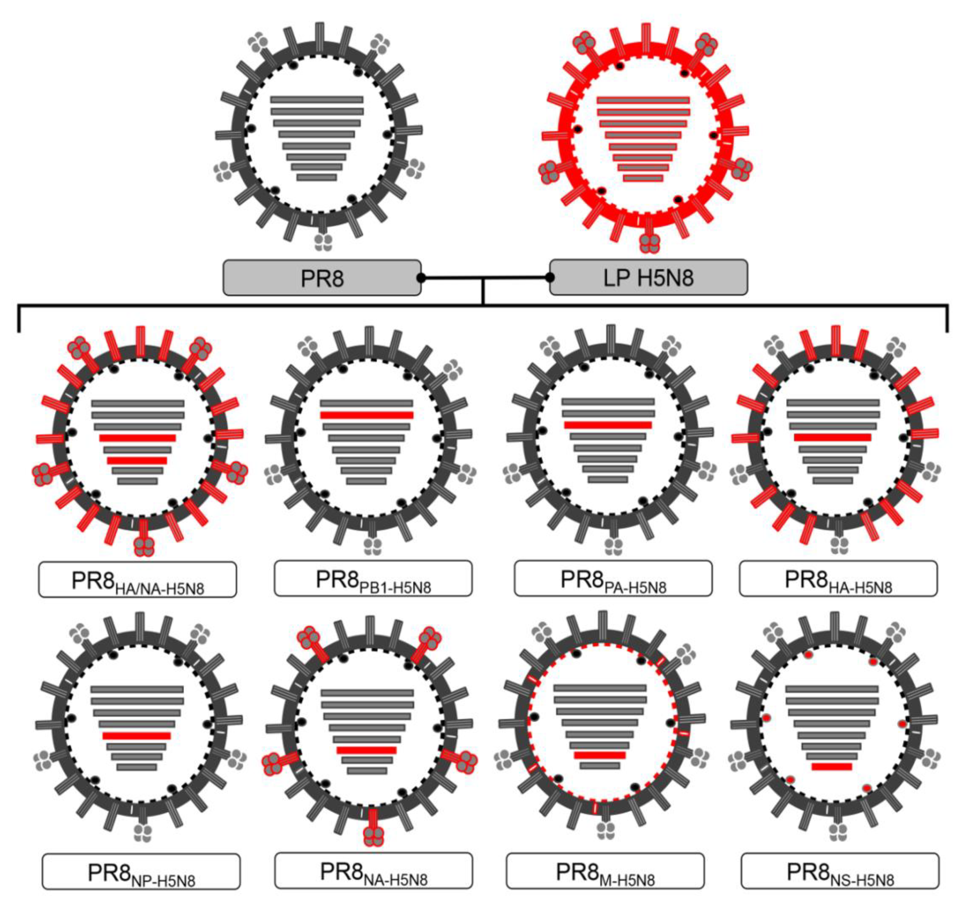 Pathogens 10 00368 g001