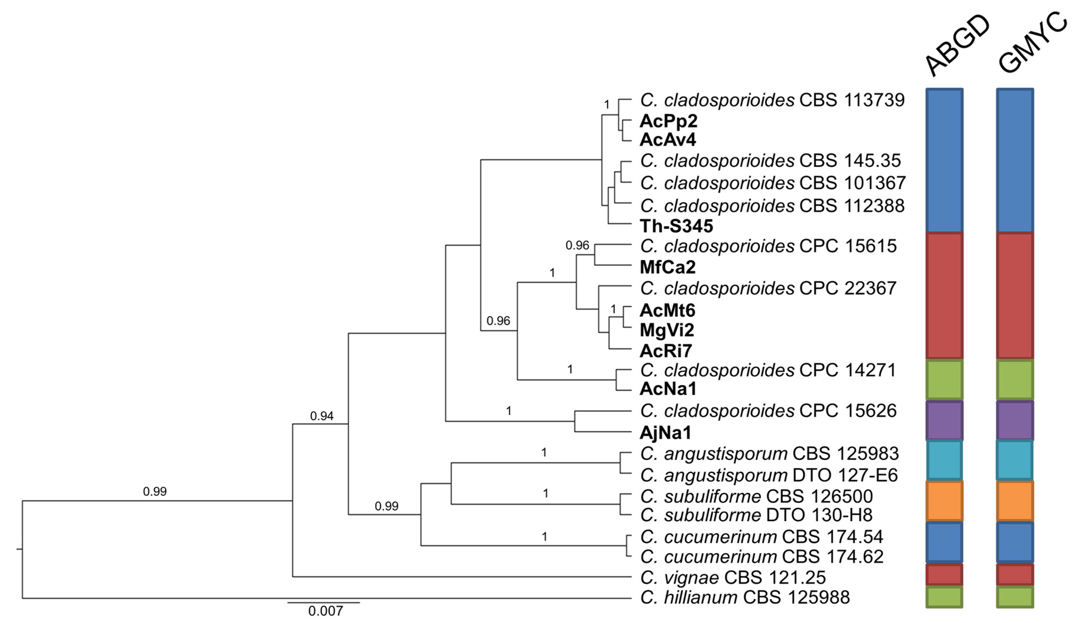 Pathogens 10 00369 g003