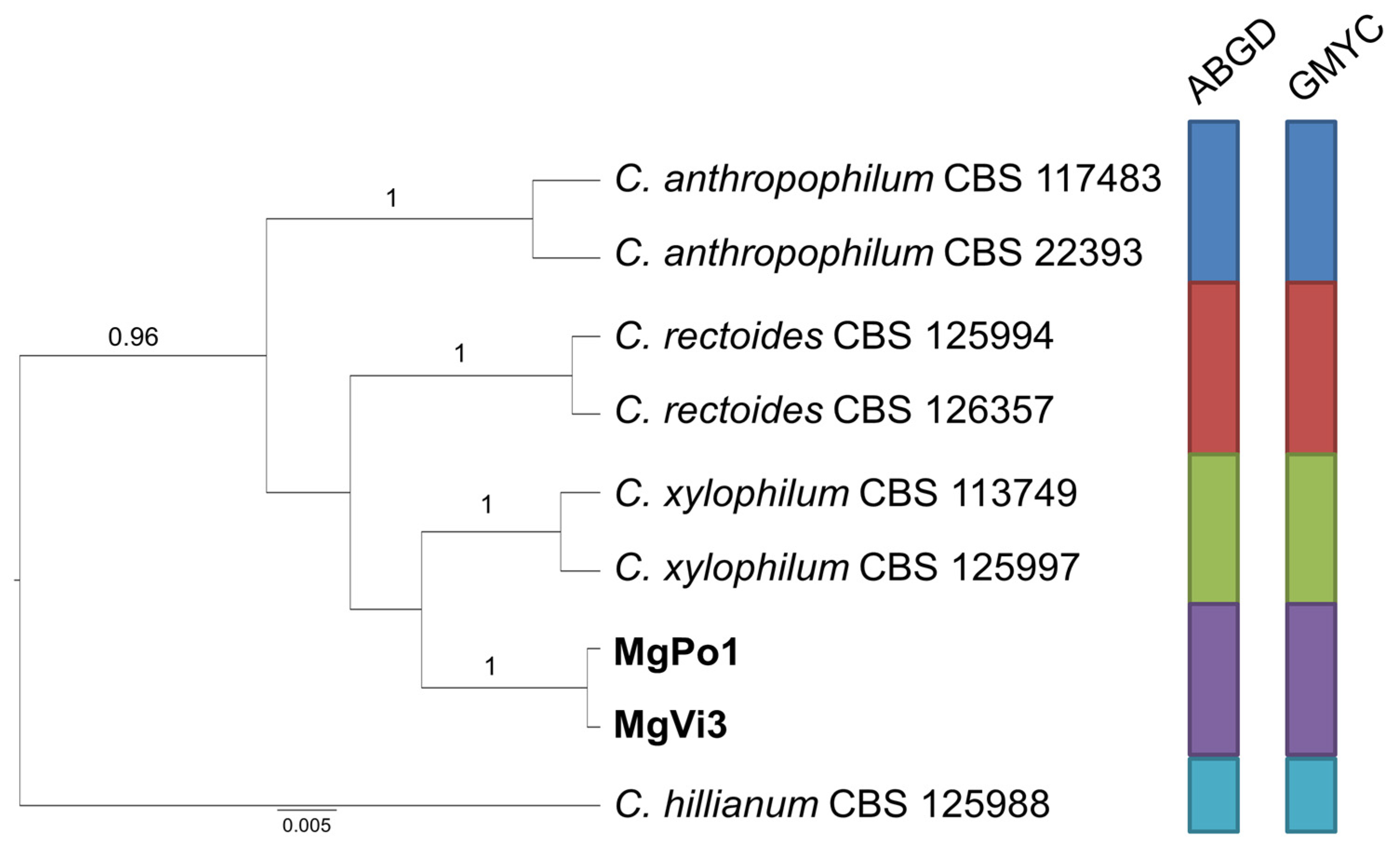 Pathogens 10 00369 g004