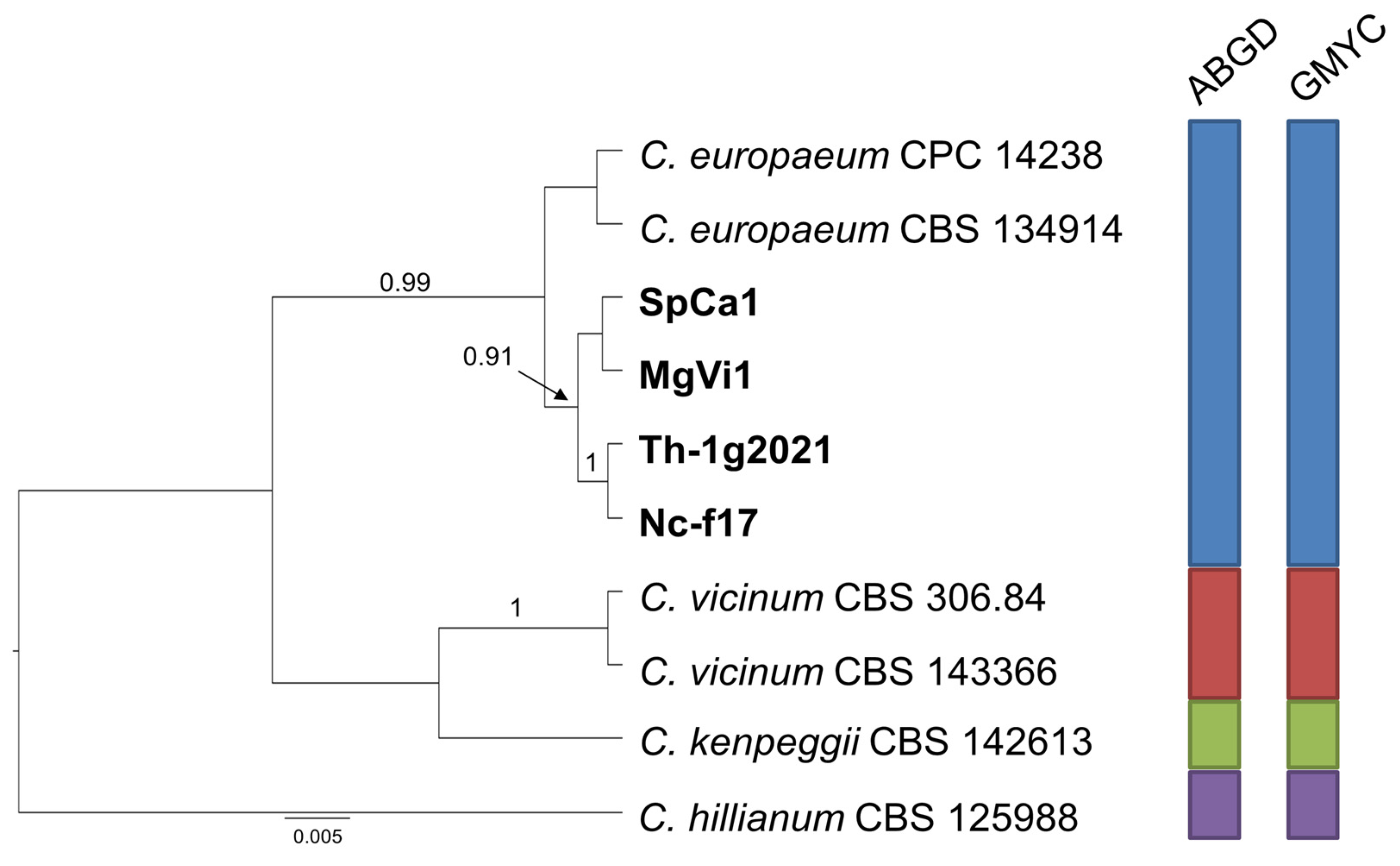 Pathogens 10 00369 g005